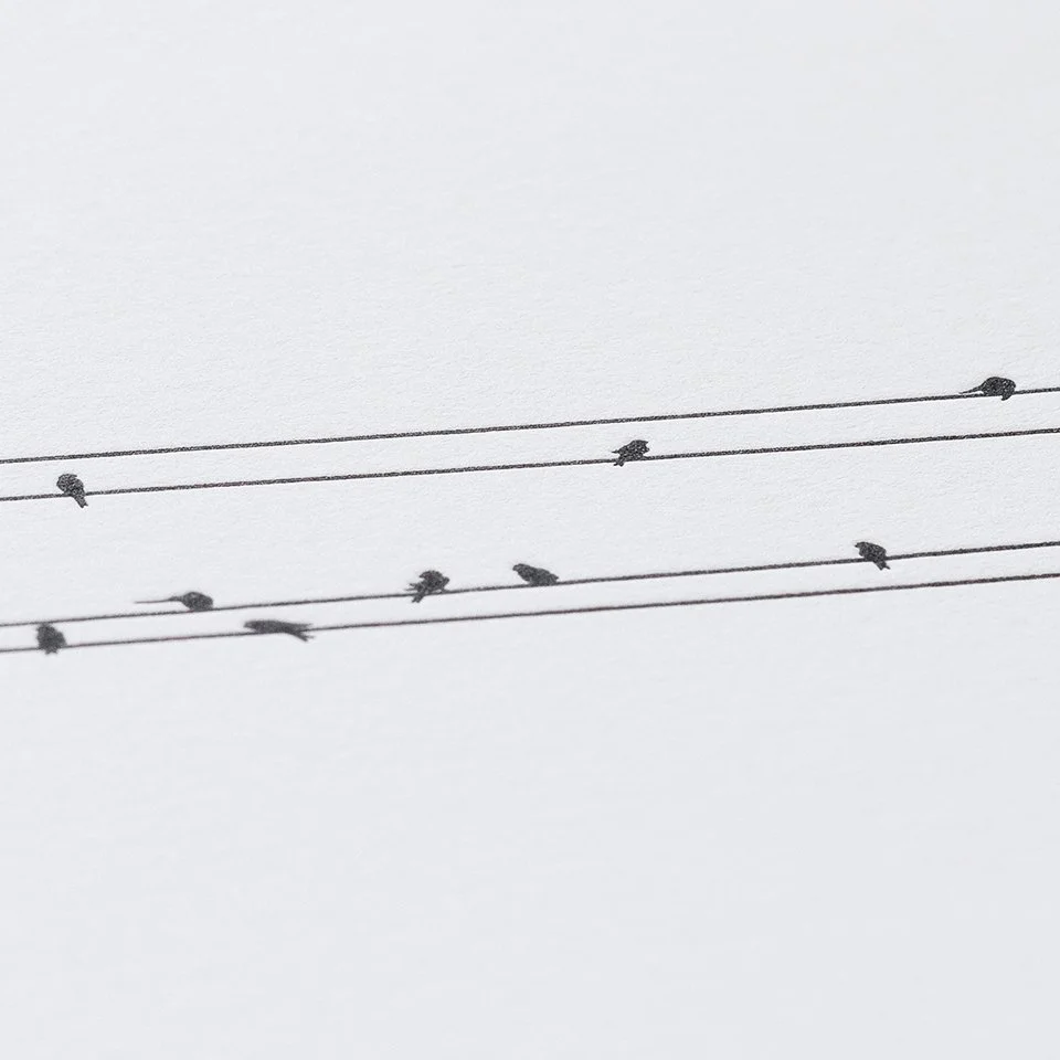 Drahtseile_02.jpg