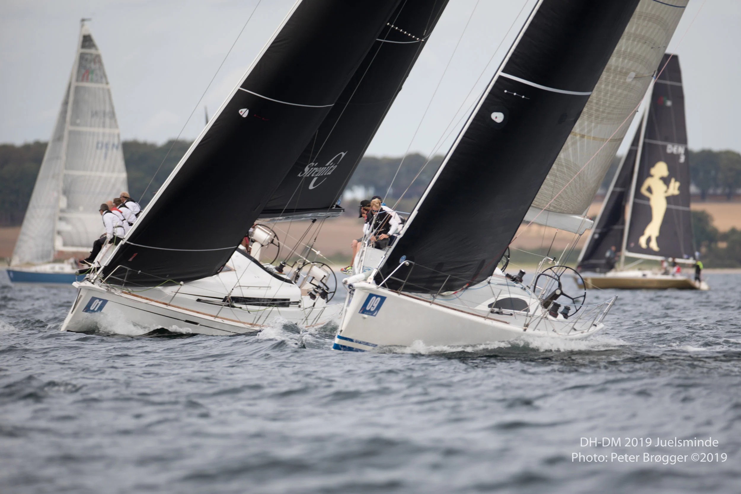 DH-DM2019-6K7A1117-2.jpg