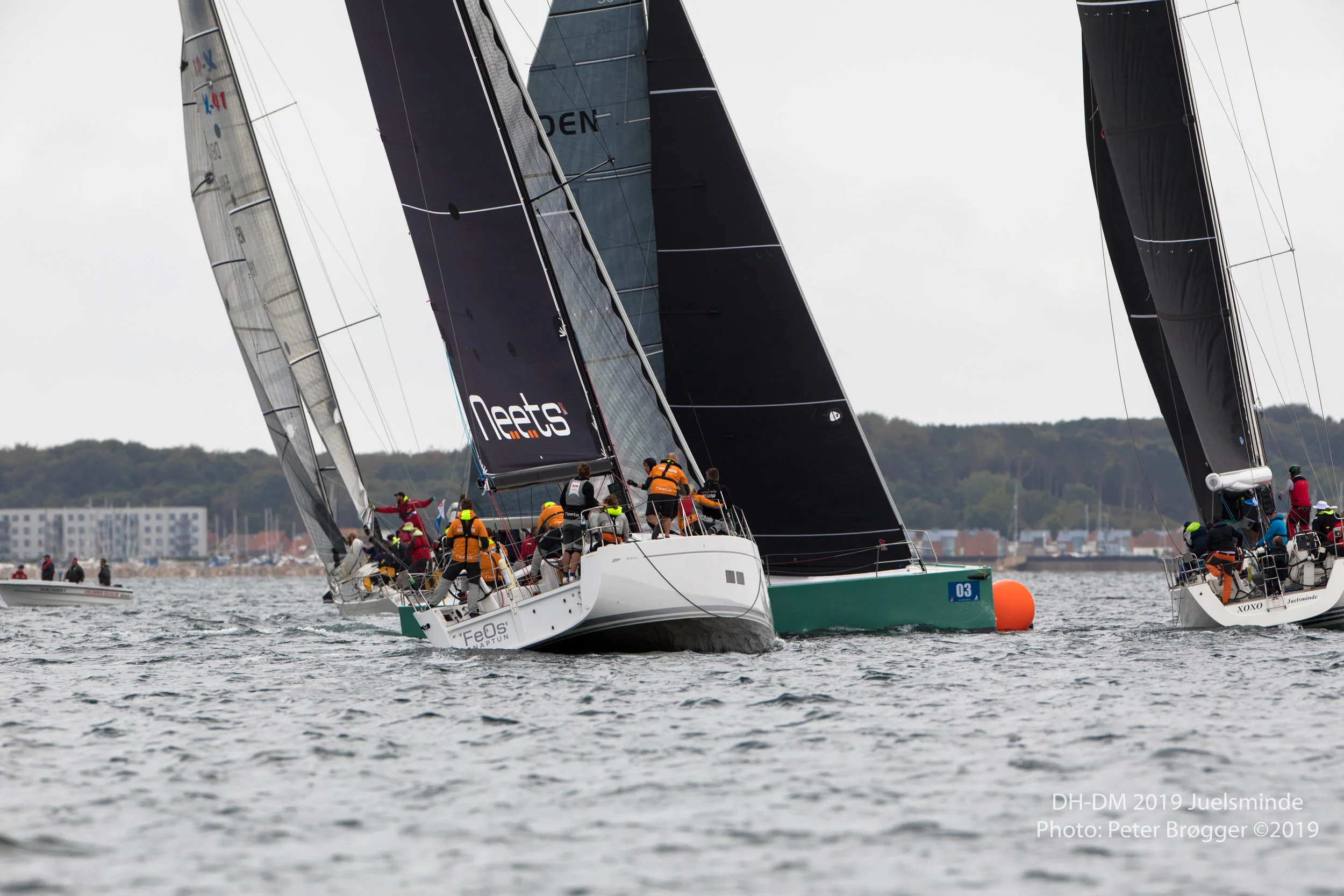 DH-DM2019-6K7A2880.jpg