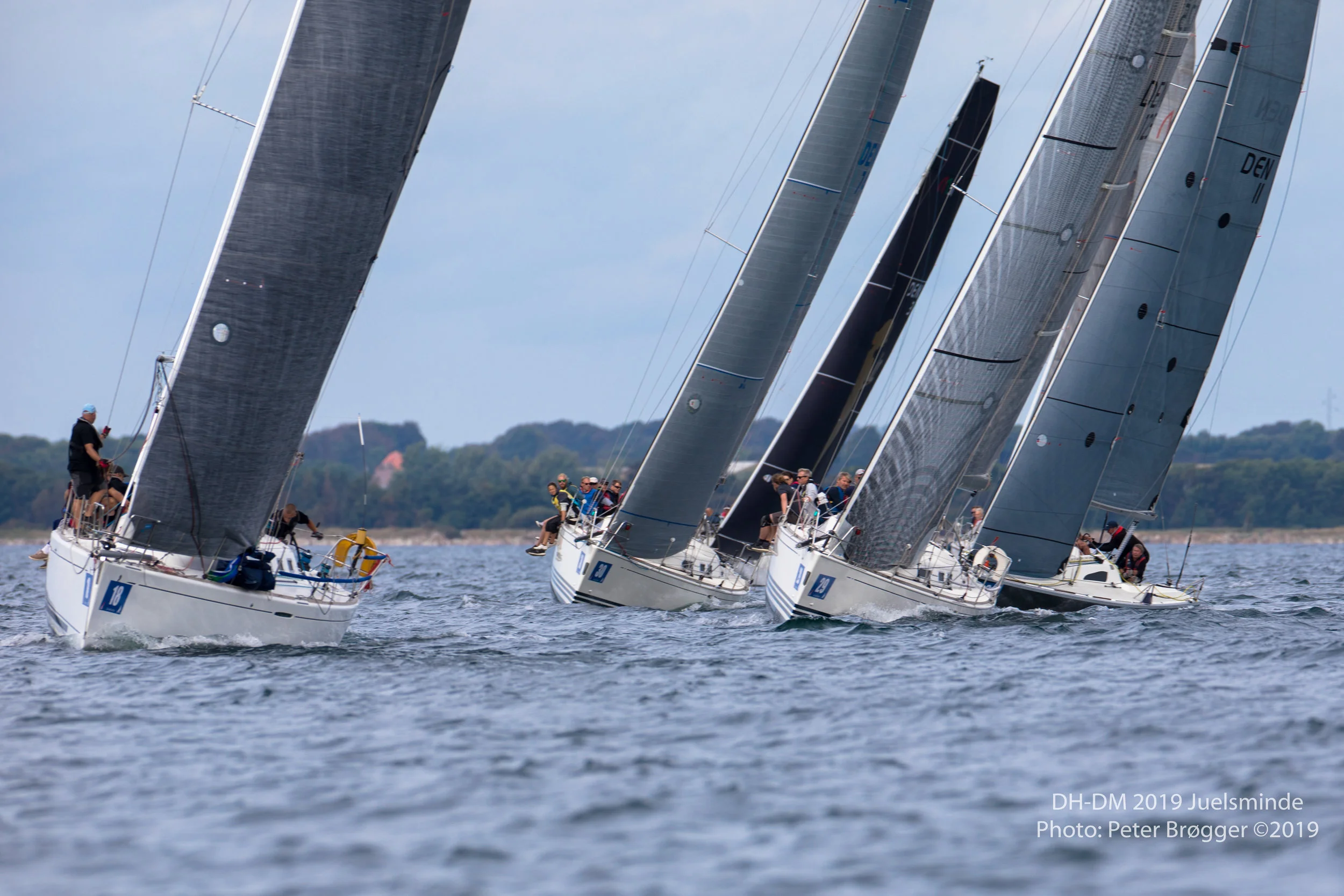 DH-DM2019-6K7A1193.jpg