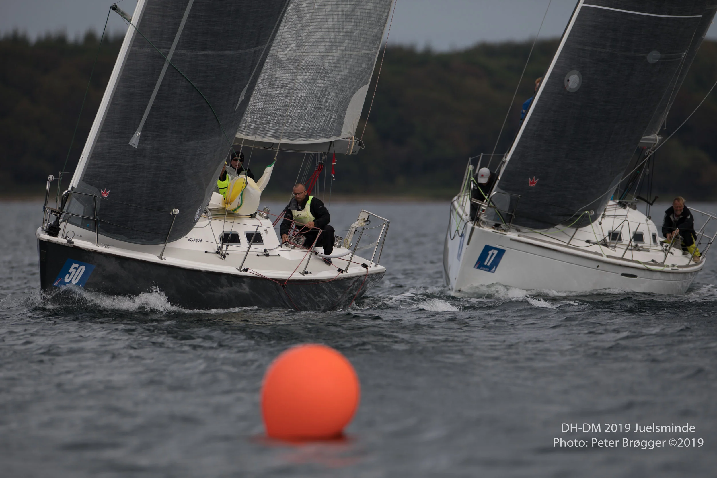 DH-DM2019-6K7A3138.jpg