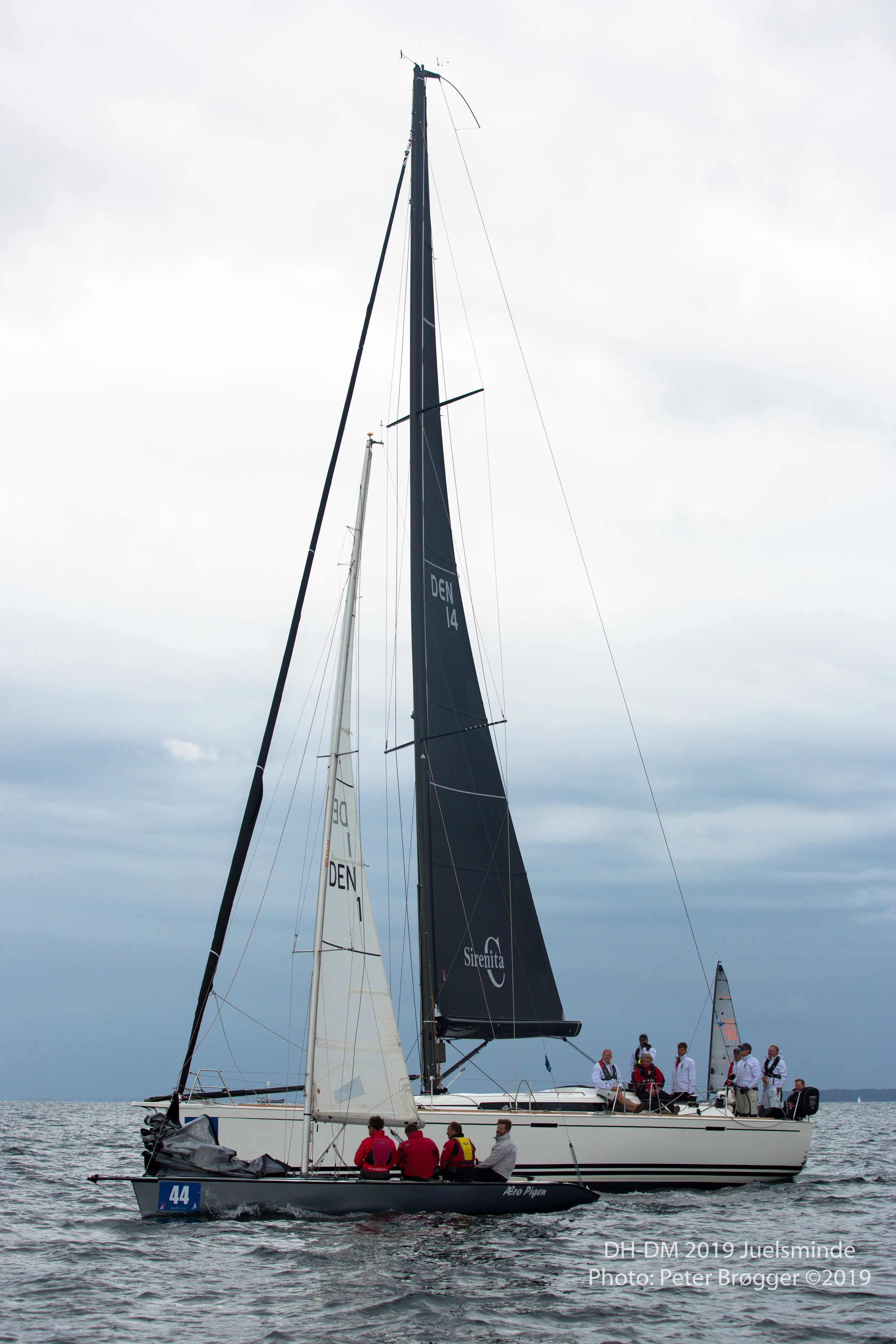 DH-DM2019-NC0A8278.jpg