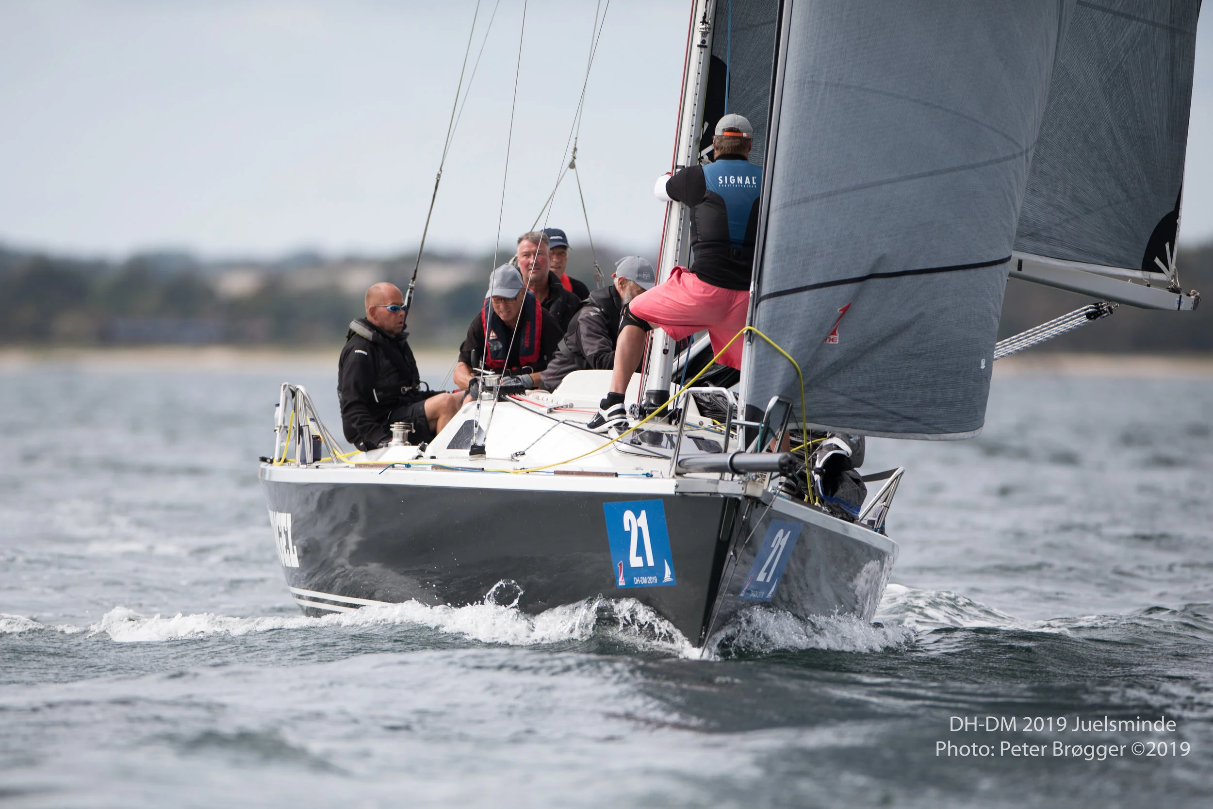 DH-DM2019-6K7A1425.jpg