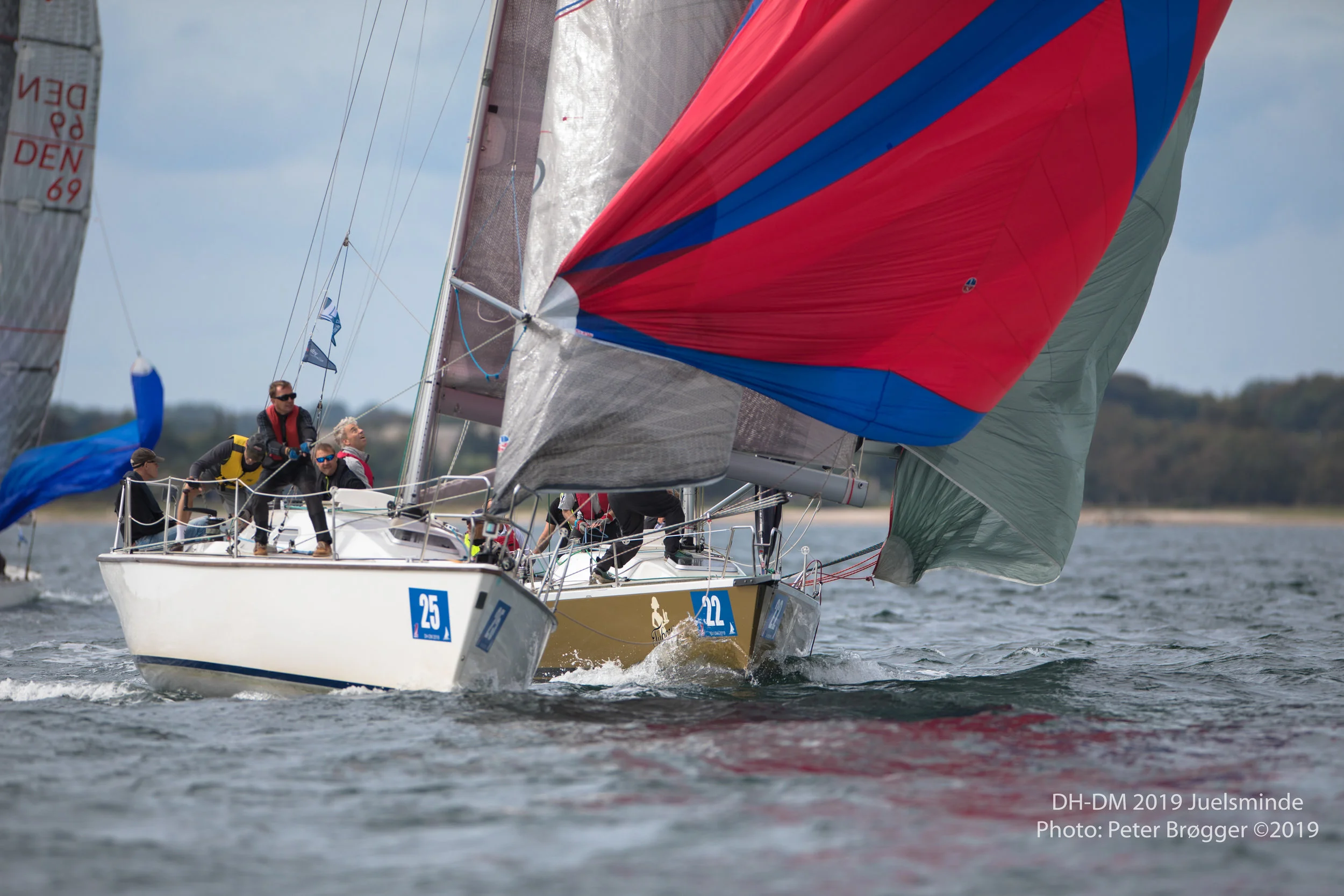 DH-DM2019-6K7A1429.jpg