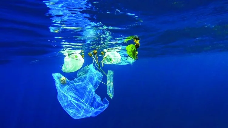 La crise de l’eau : Pollution et conquête, le combat de la décennie