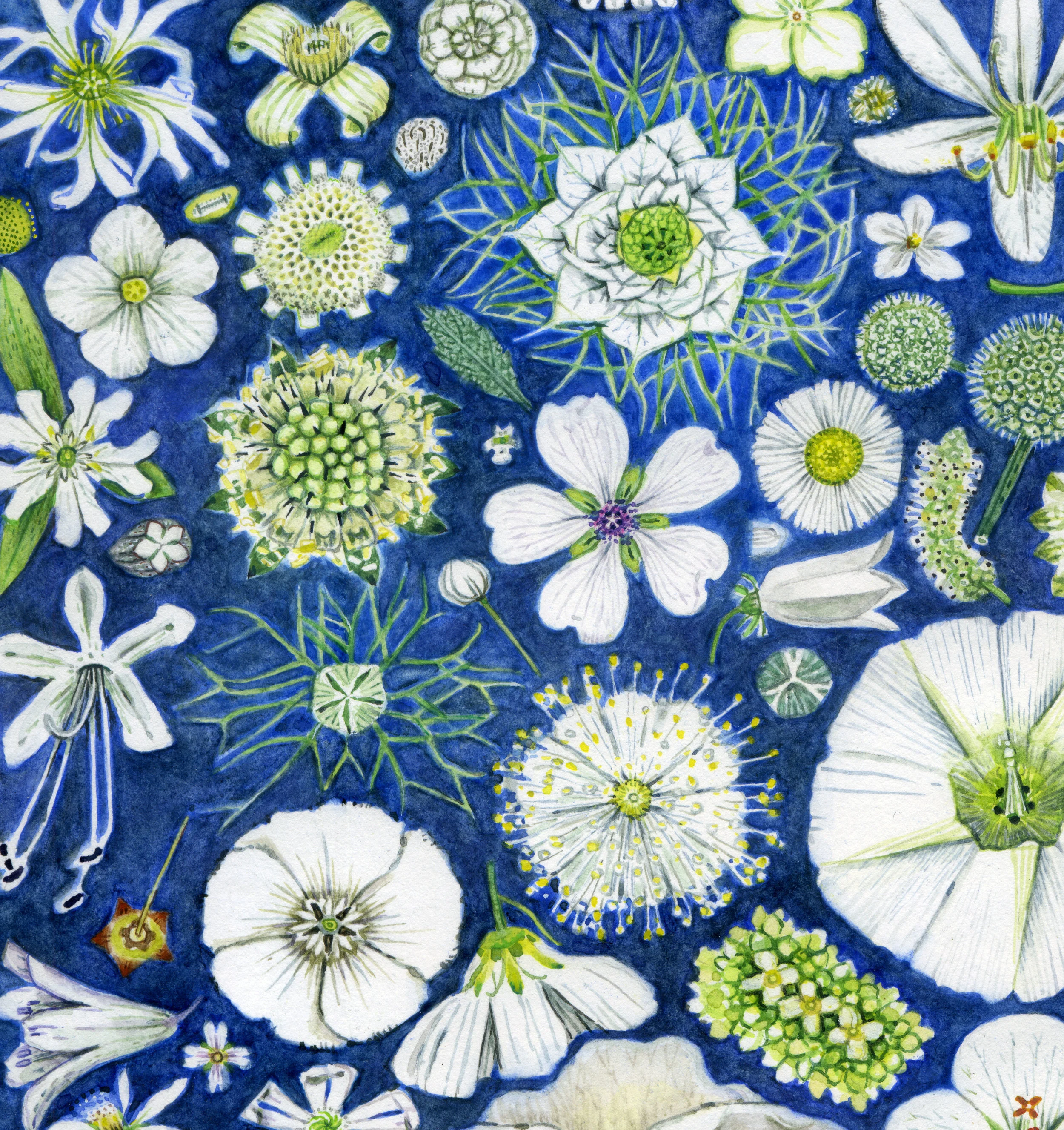 flower sheets.jpg
