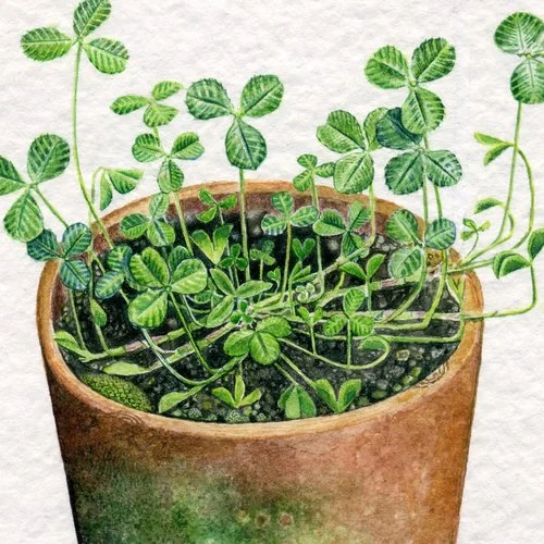 flowerpots (1).jpg