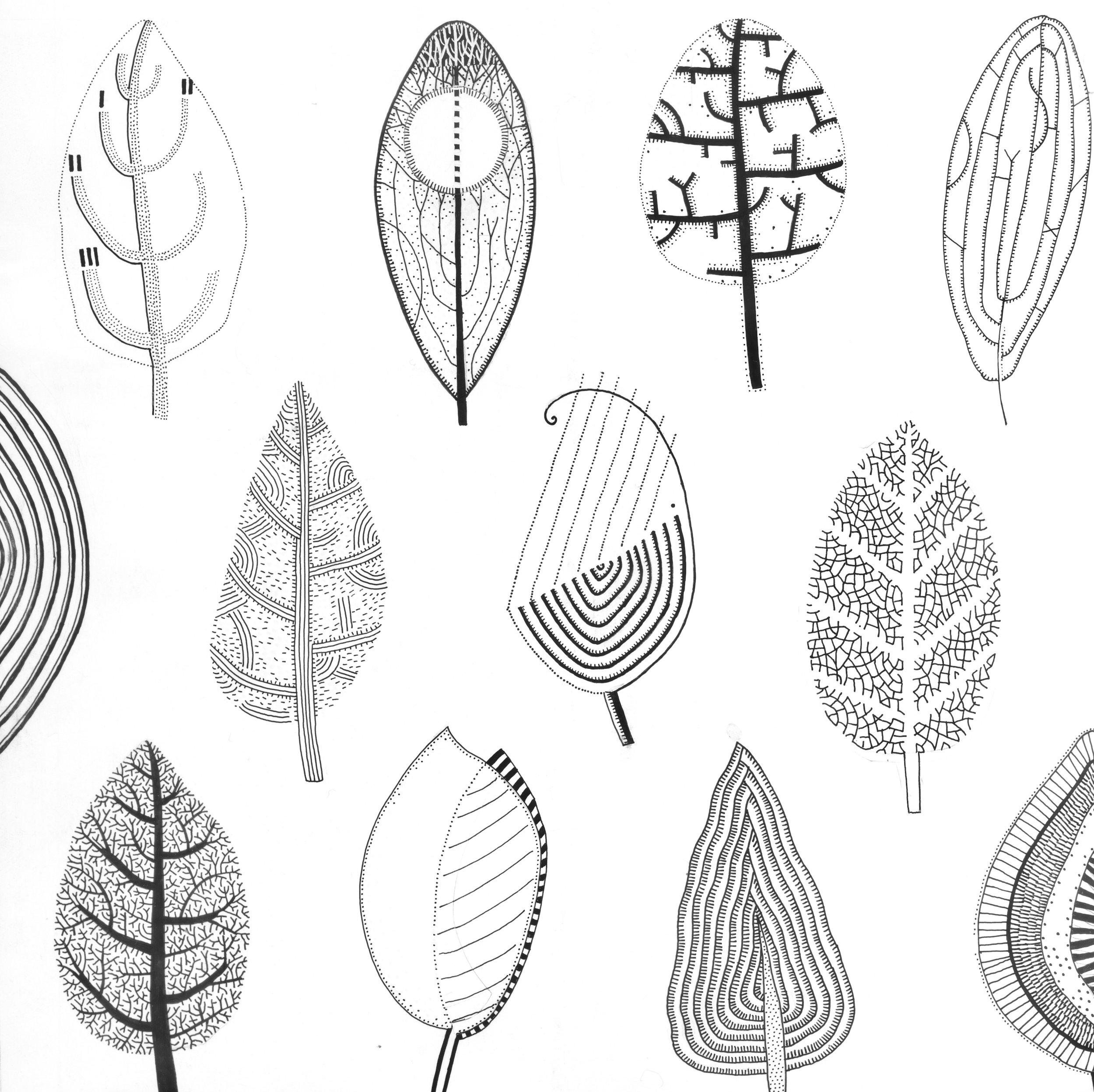 webleaf square.jpg