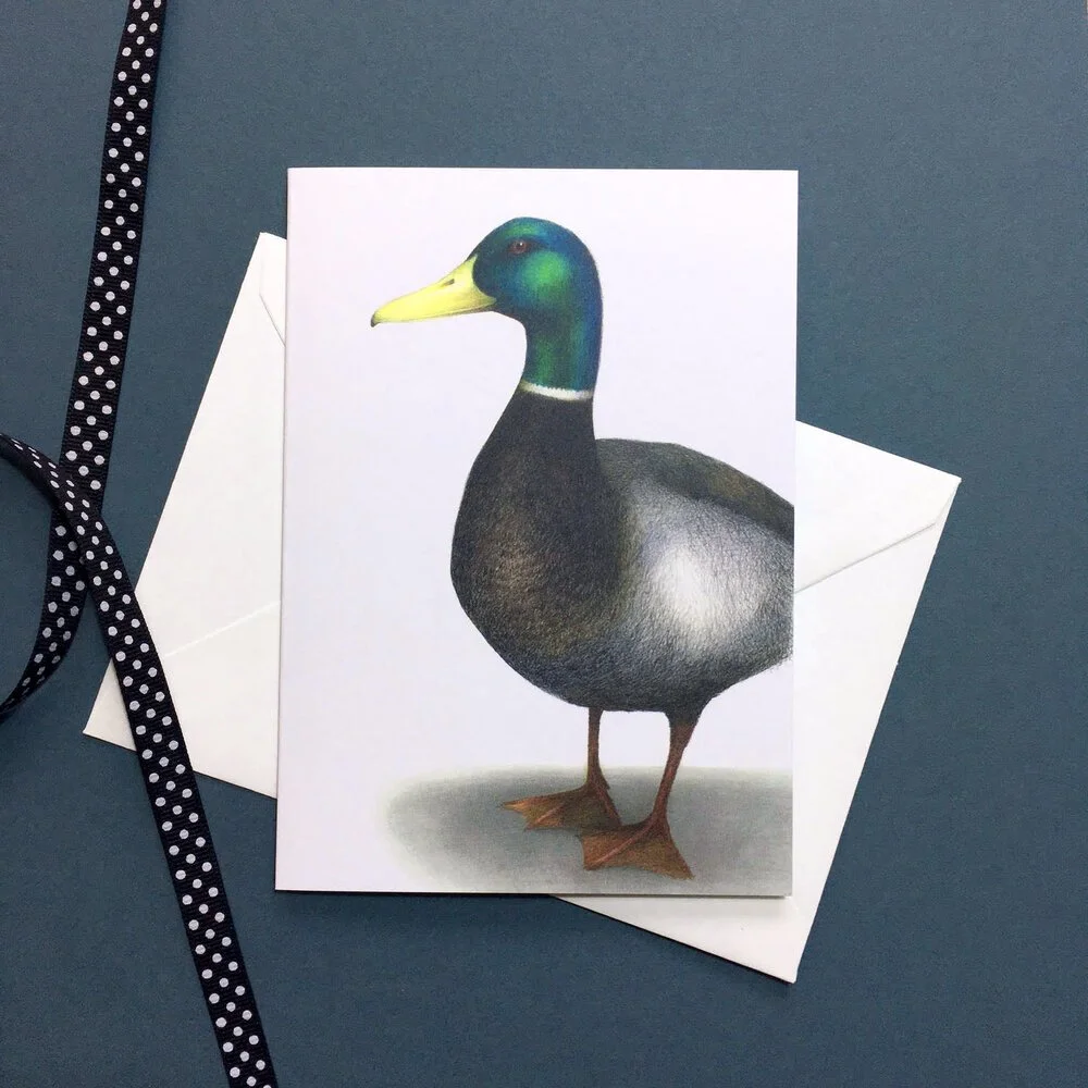 Duck Greetings Card.jpeg