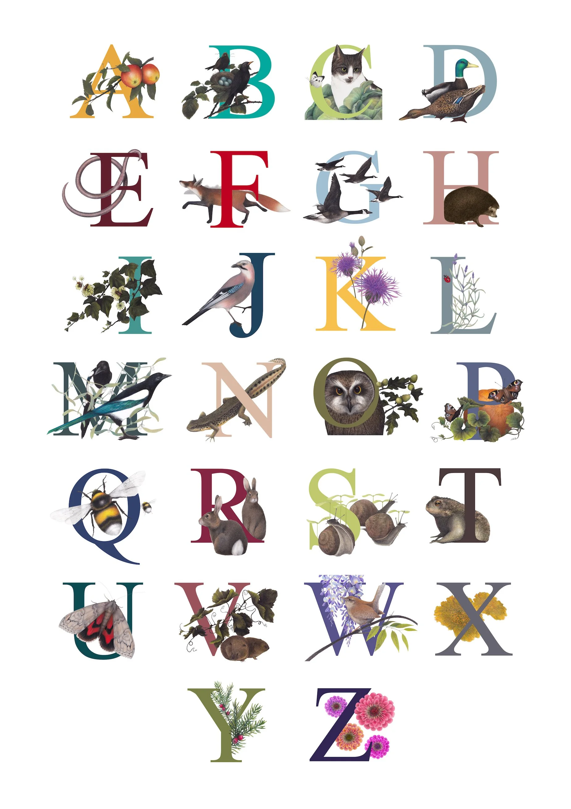 A-Z New Final Version webres.jpeg