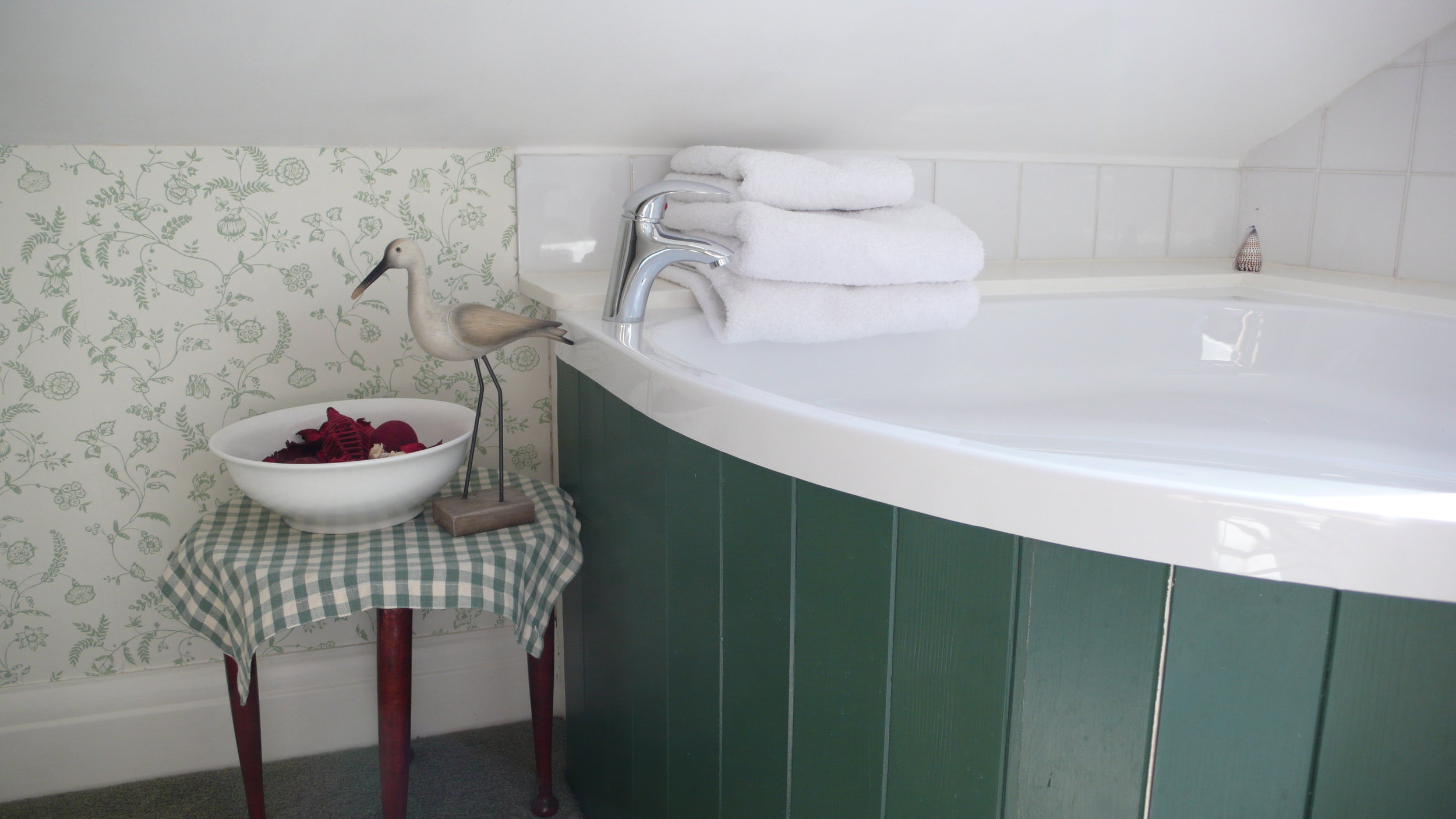 Corner bath and bird.JPG