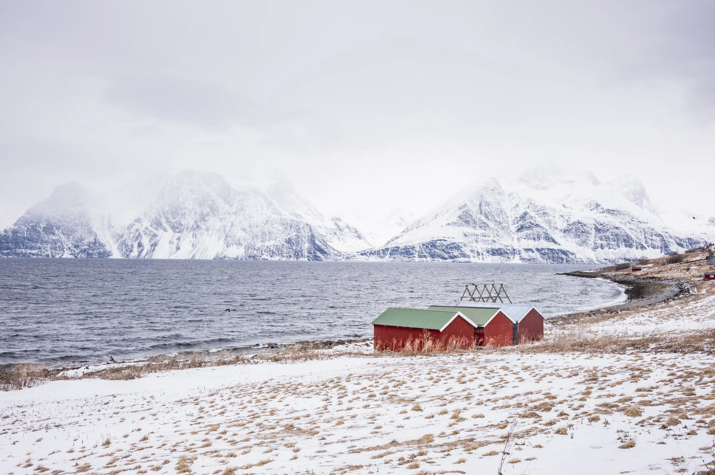 Snow-covered beach of the fjord with red cabins and mountains in the background, in Northern Norway.
