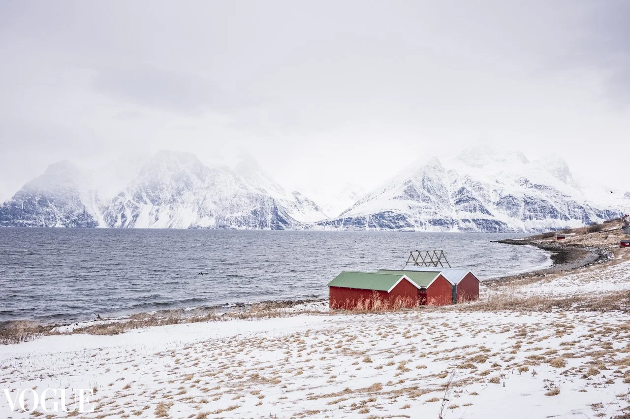Boat houses by the fjord.jpeg
