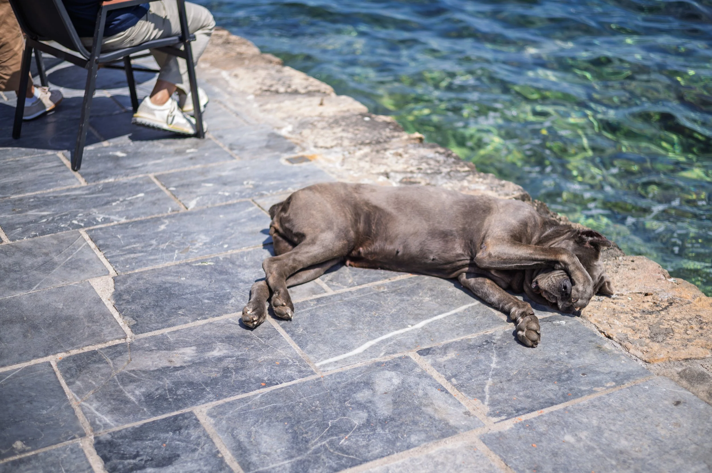 A large gray dog lying down on a stone dock next to the water, with a person sitting on a chair nearby. Crete, Greece.