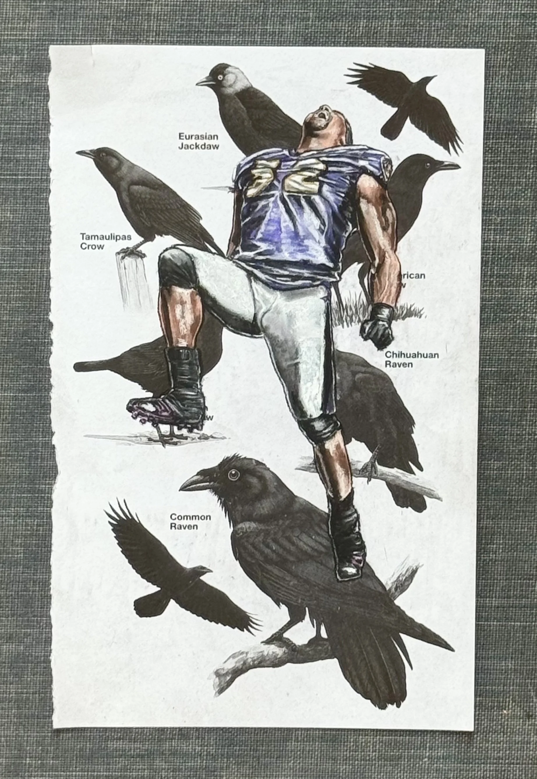 Ray Lewis