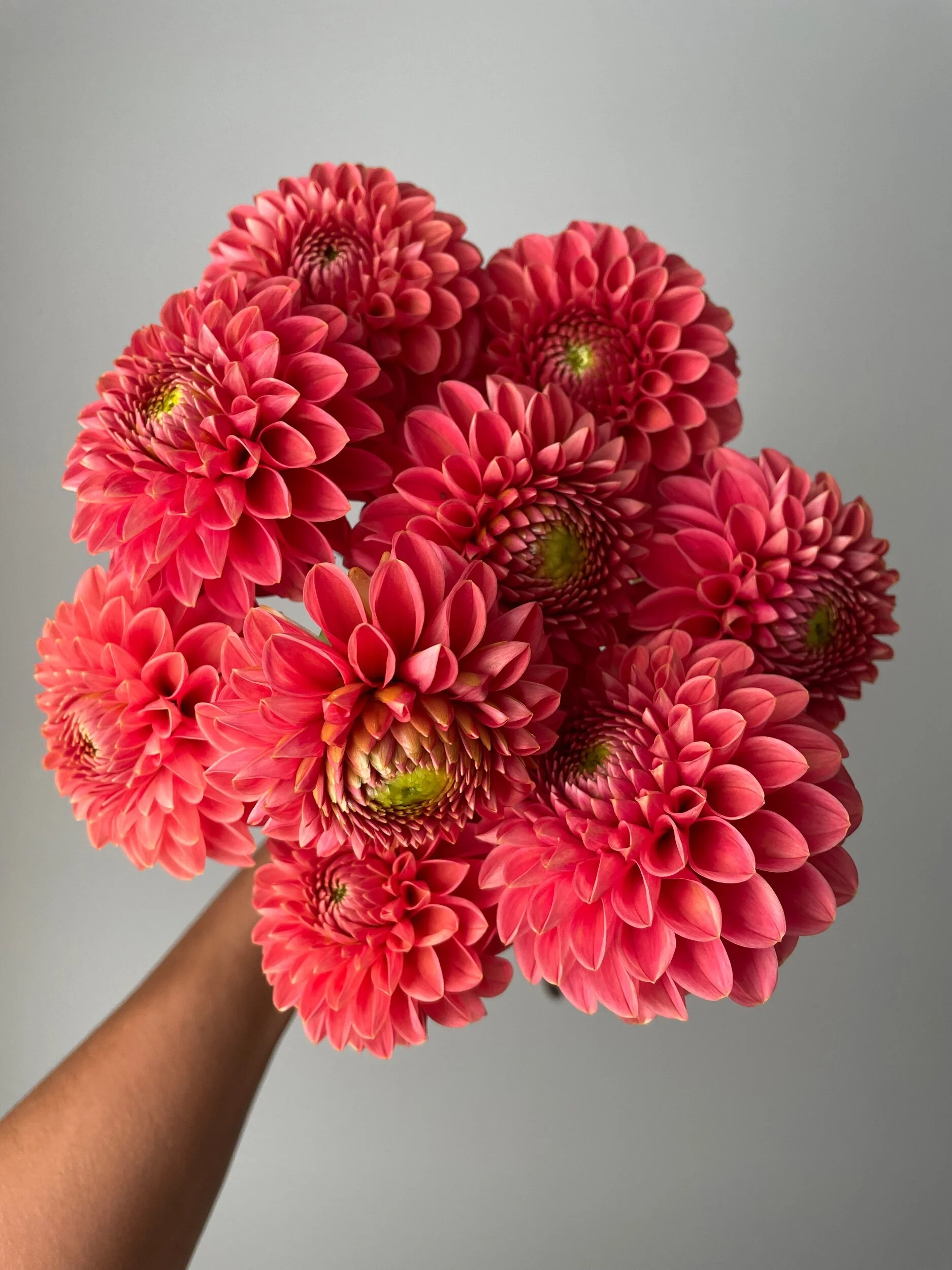 35C52F50-6DDC-4CC9-8DCD-8F42655F3422