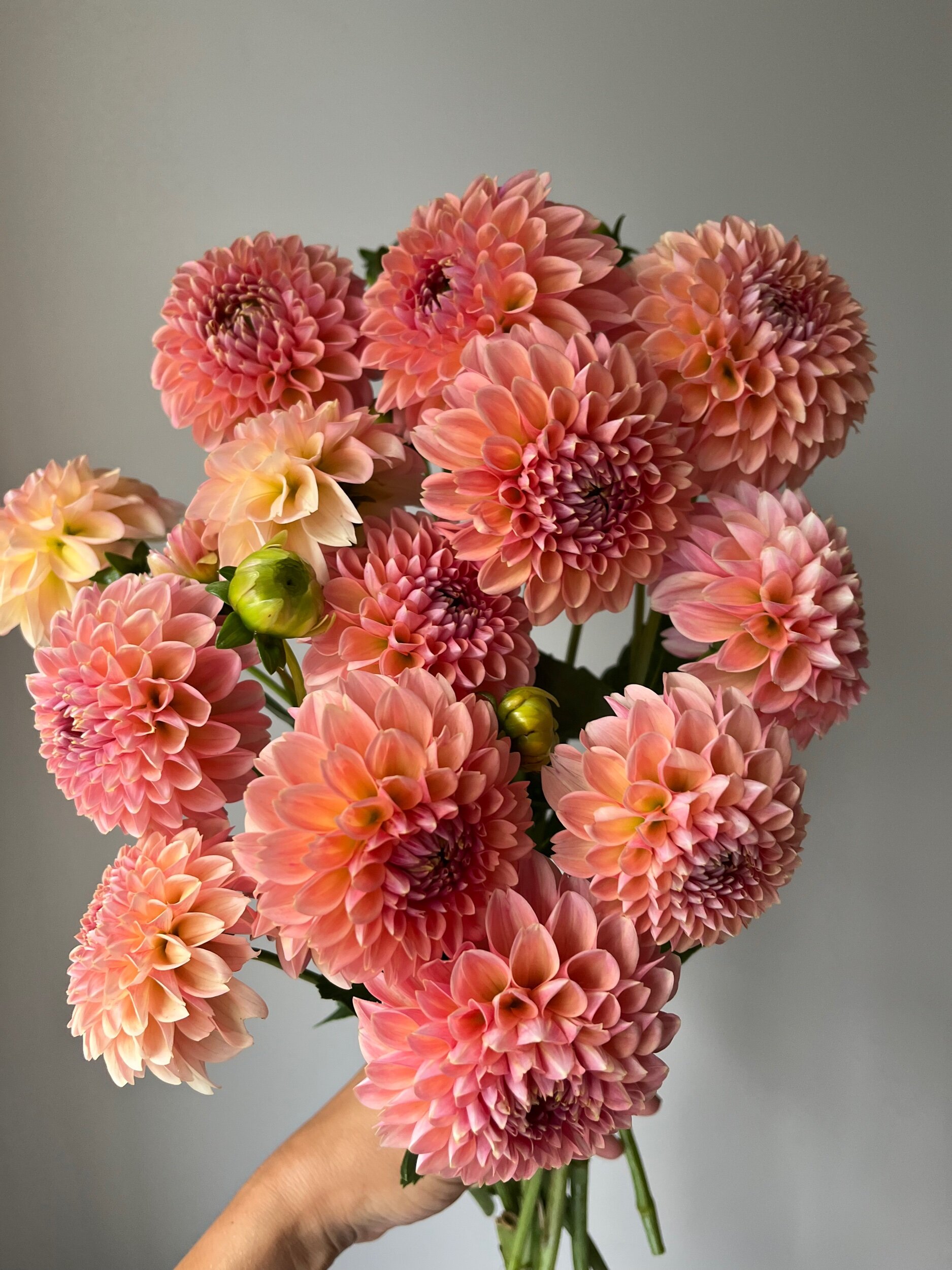 BD4867E9-9635-439C-AFE4-8D217A1E5833