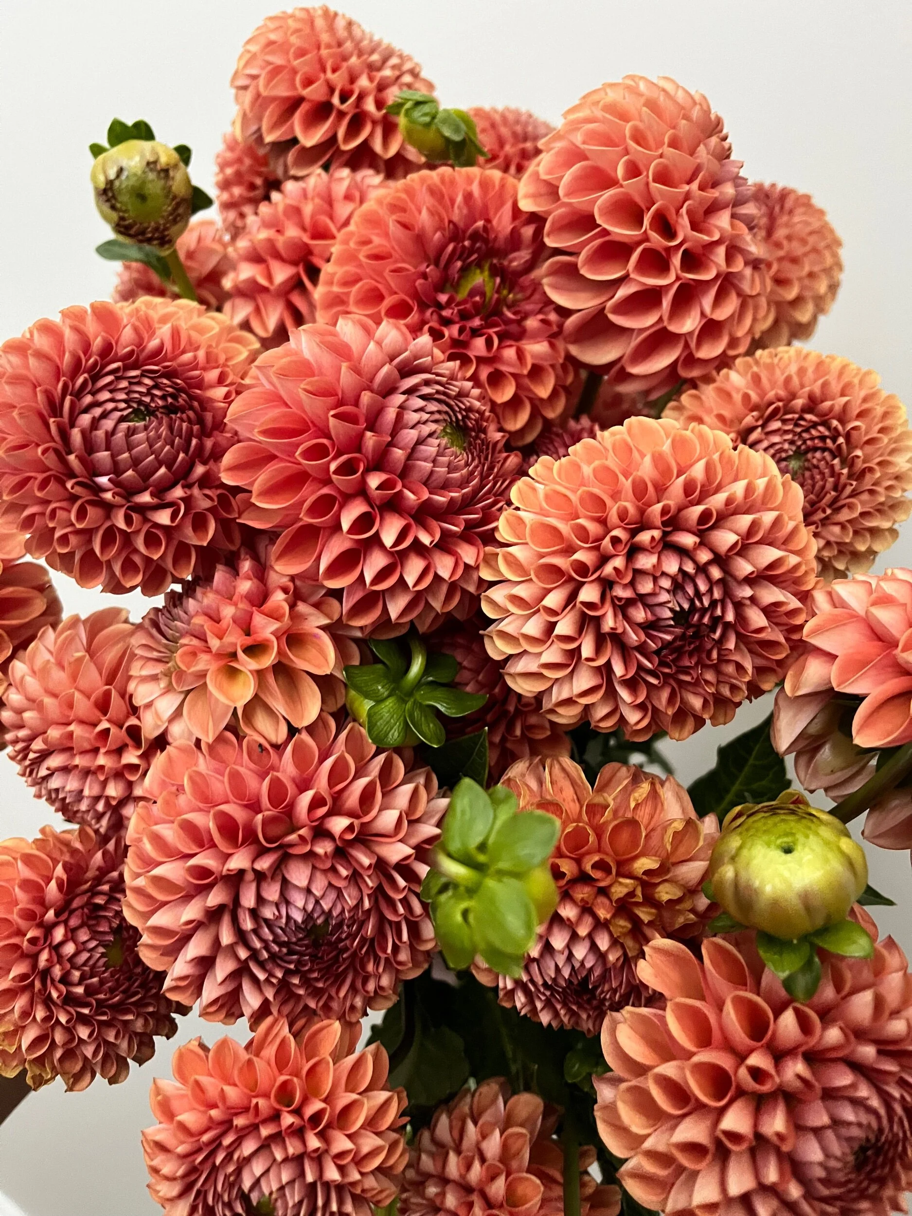 B70CF063-EE40-40F7-82C0-422249BAA4C8