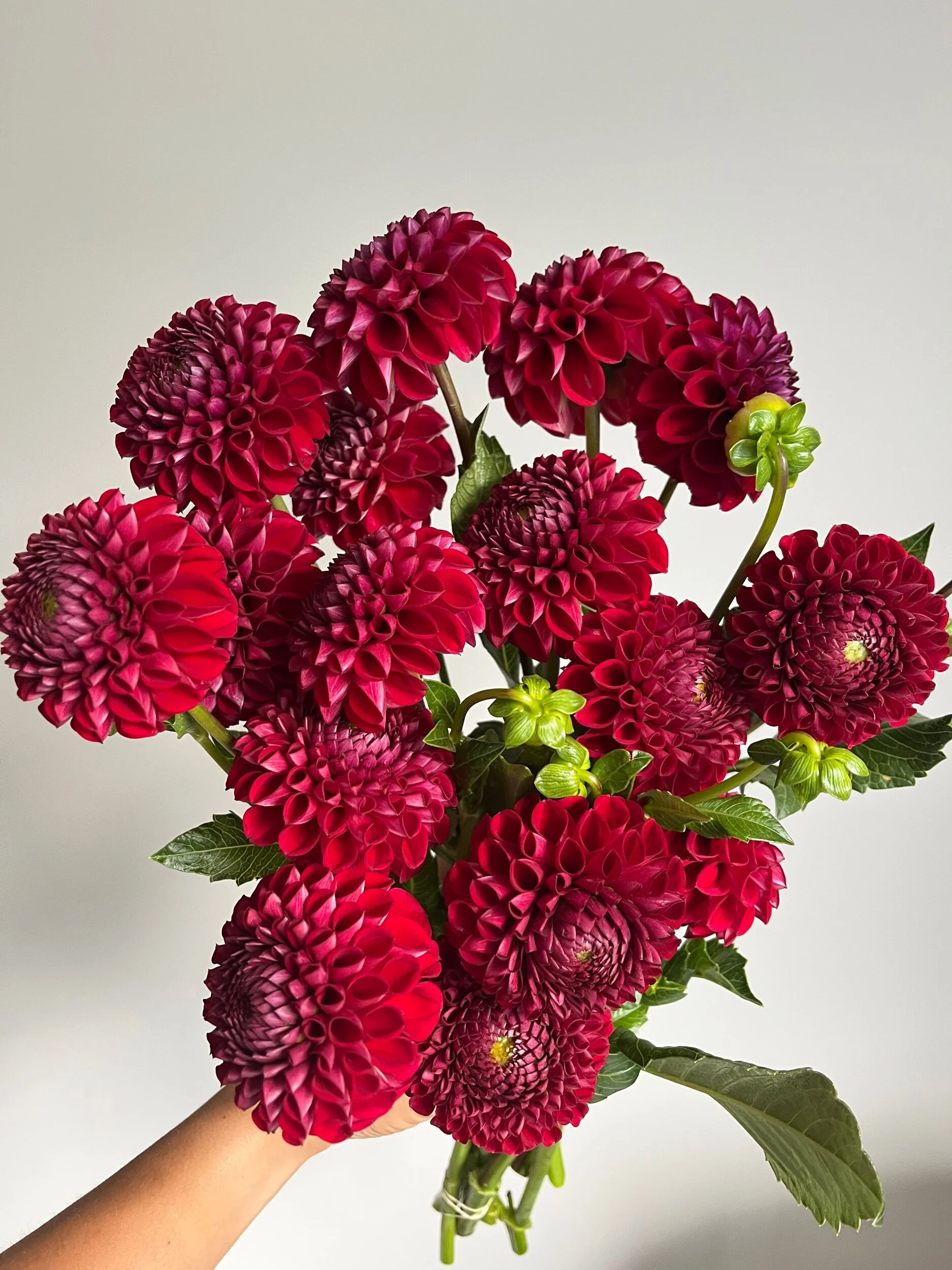 50010408-8DFC-4512-B37A-9148B7D42A7D