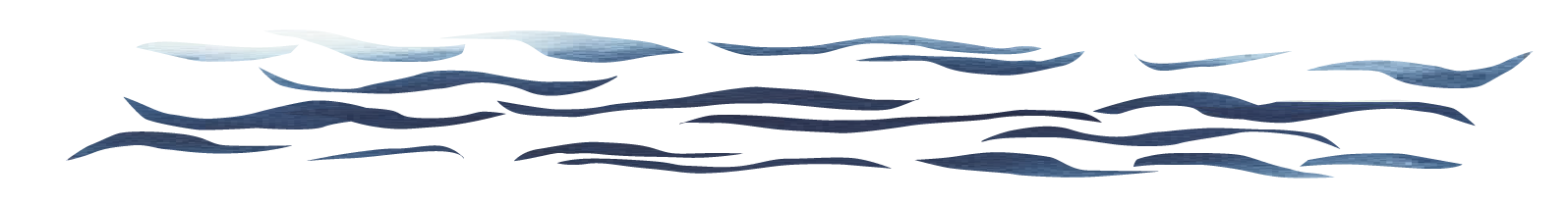 SeaEnvy_Banner-2.png