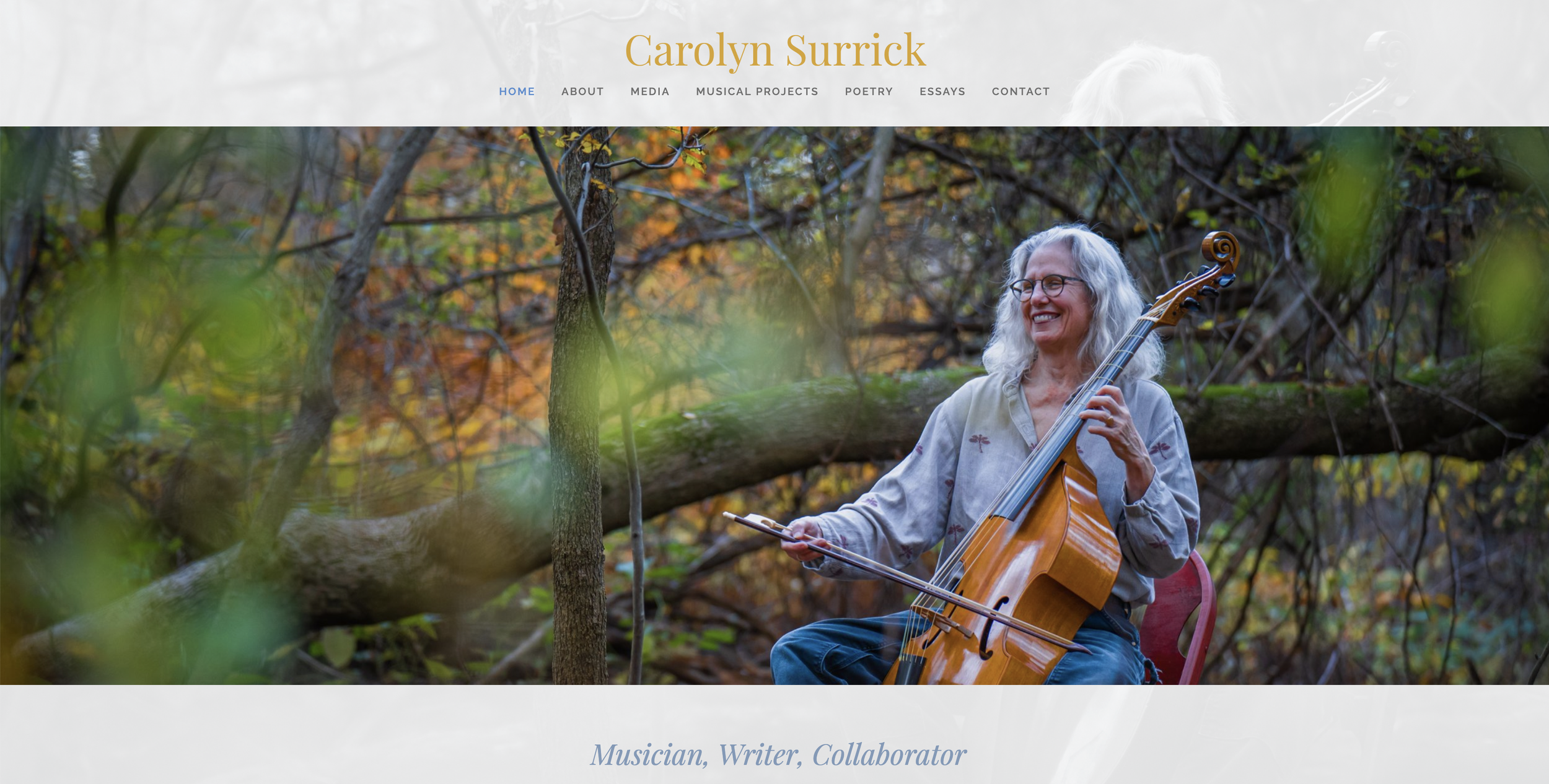 Carolyn Surrick | Musician Website + Ongoing Updates
