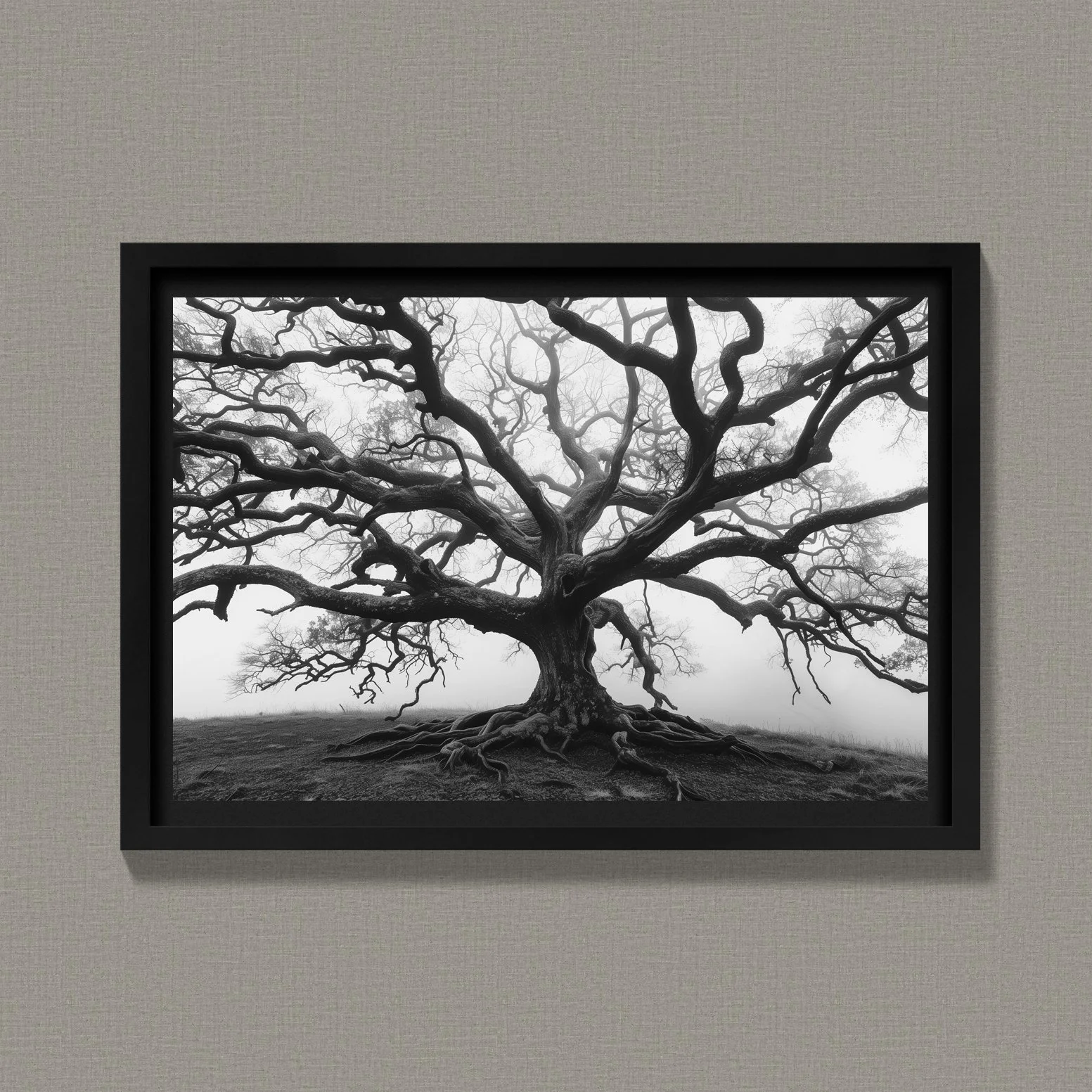 Sprawing Angel Oak