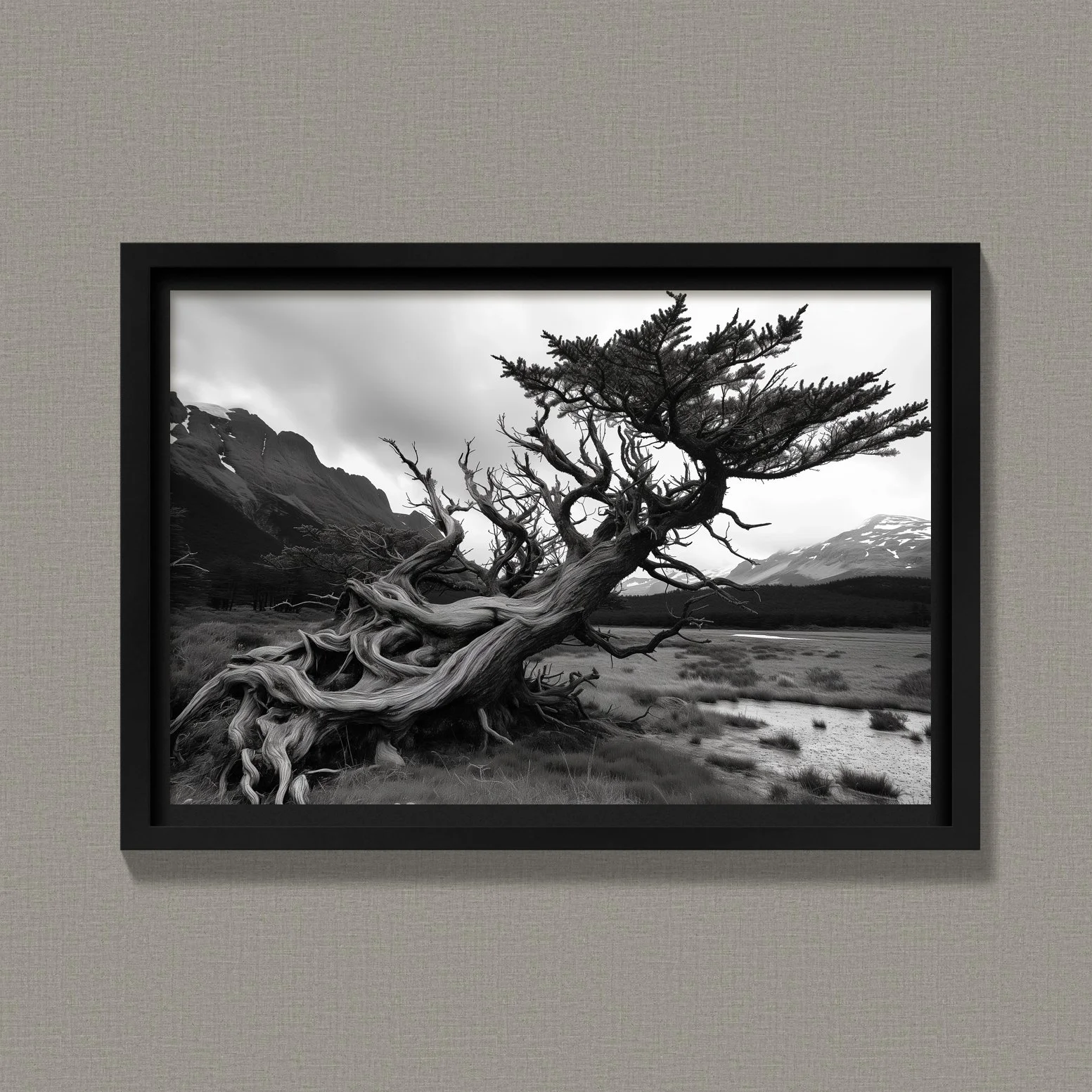 Dancing Juniper