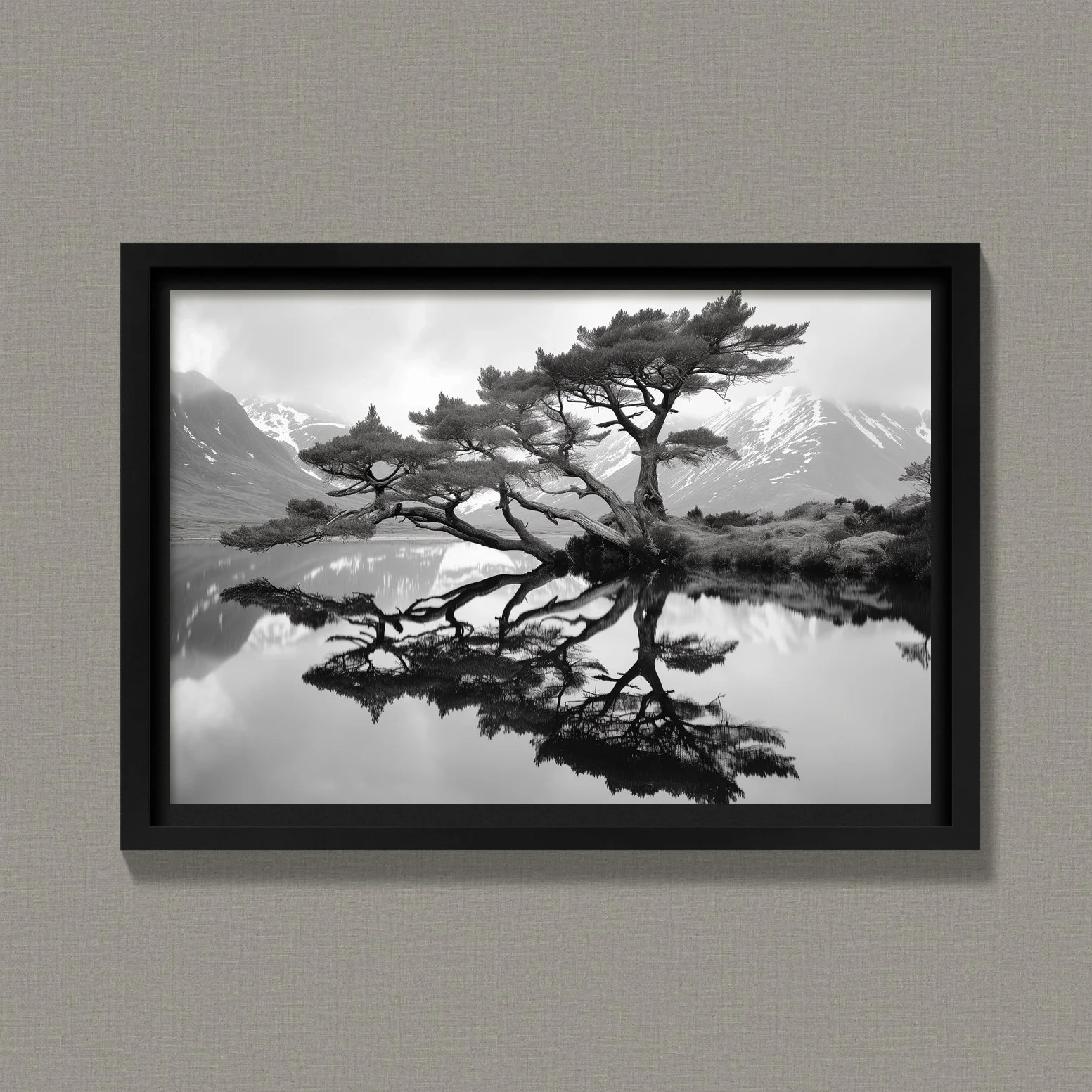 Juniper Reflections