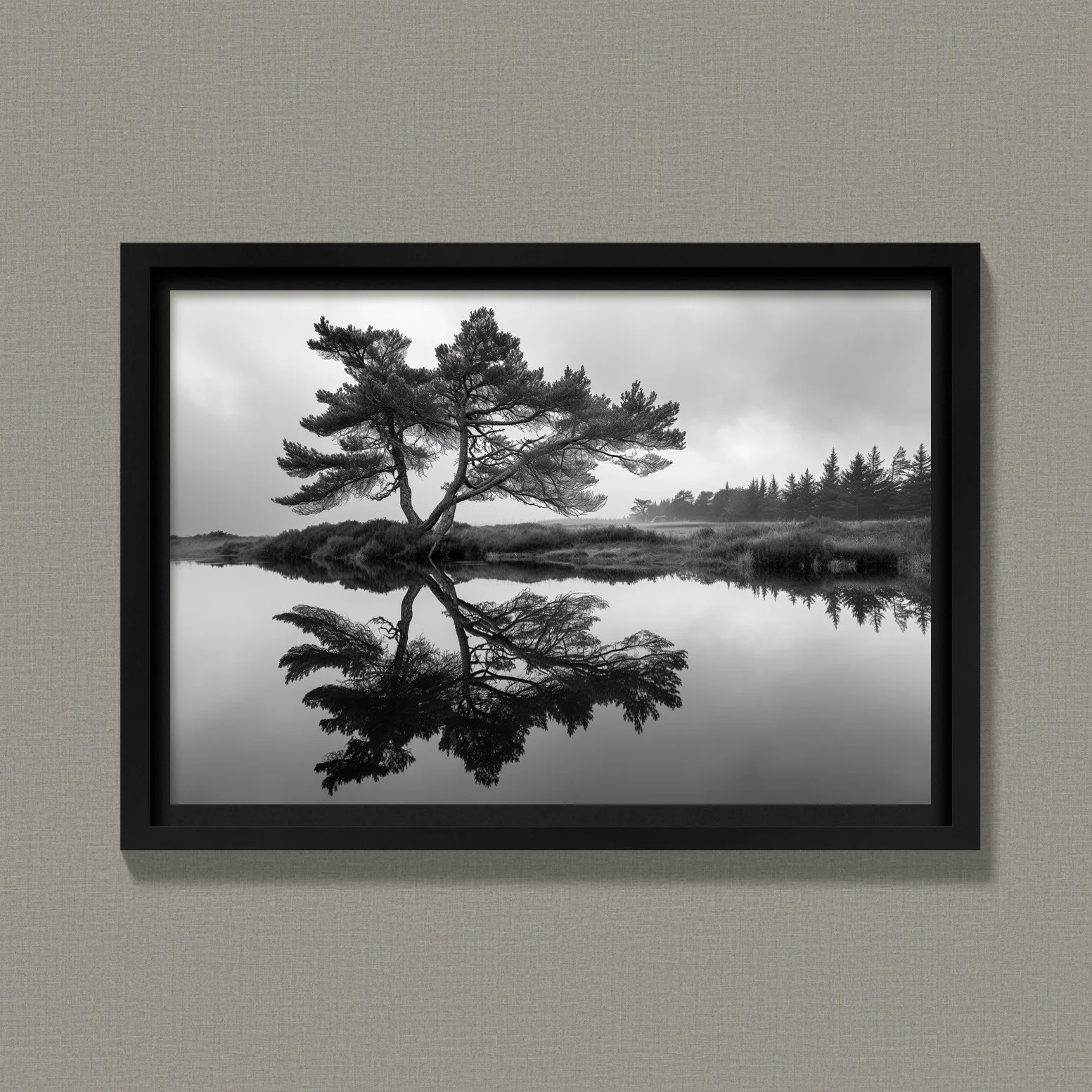 Reflected Pine
