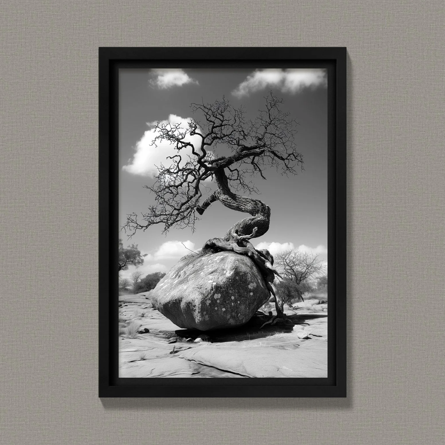 Tree and Rock