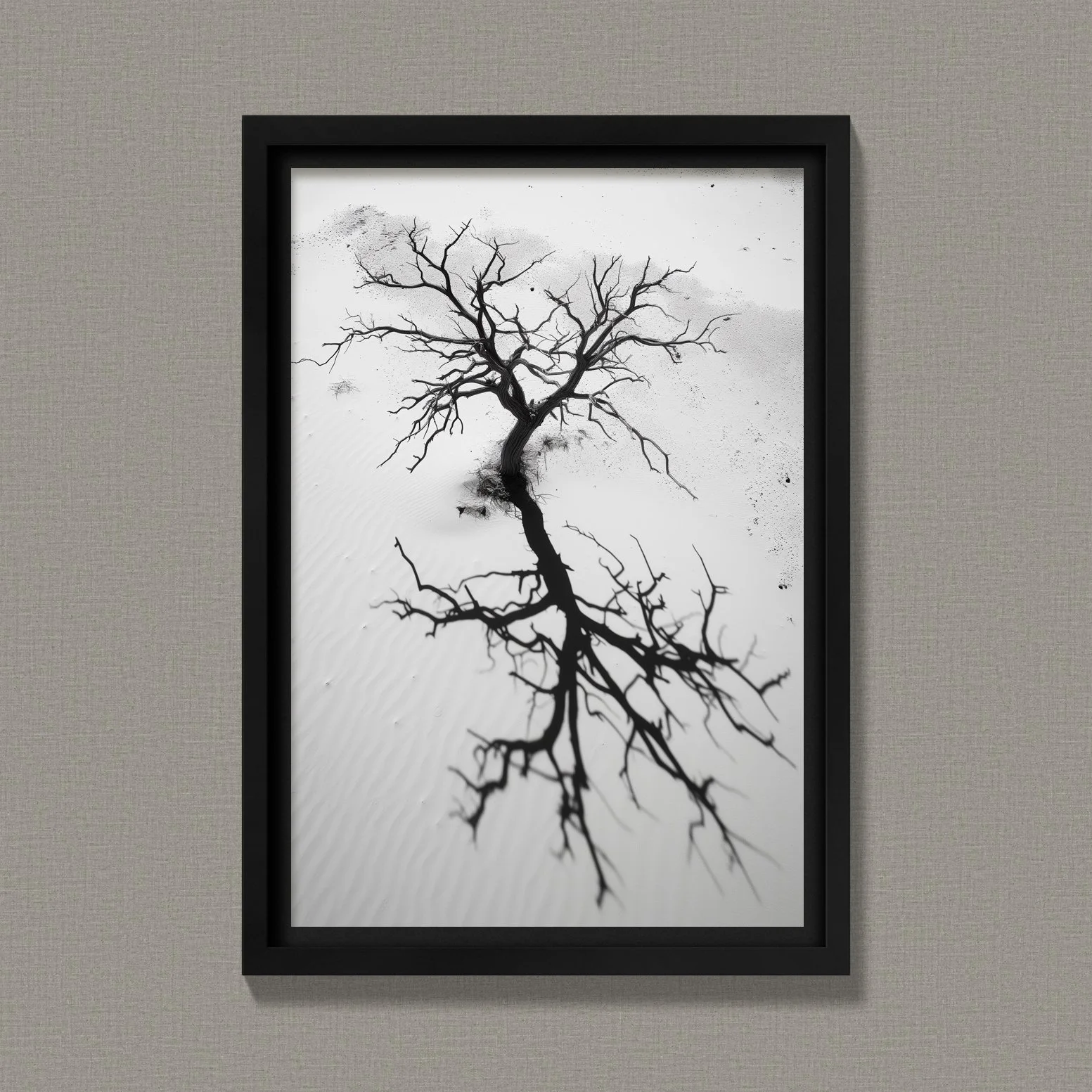 Tree Throwing Shadow