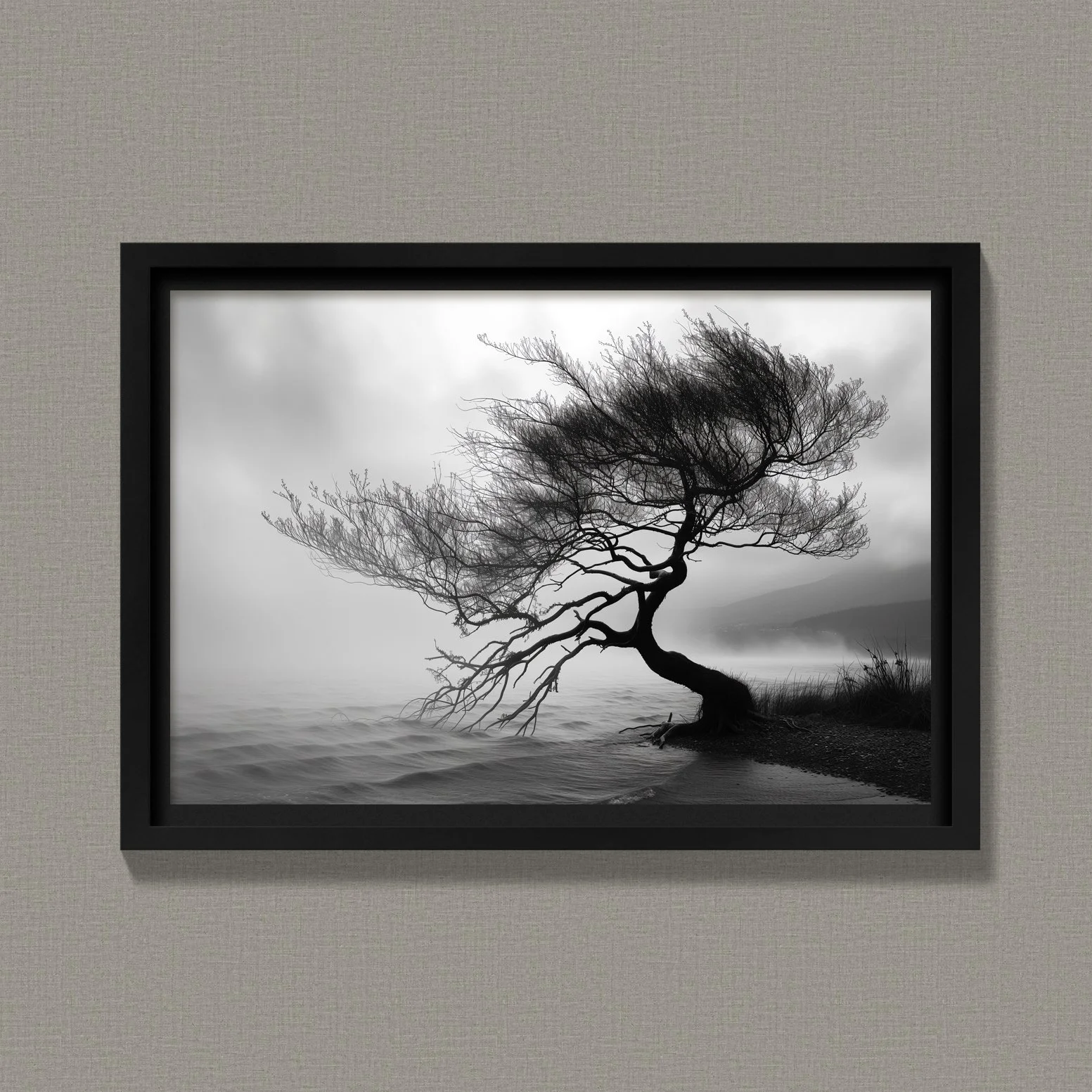 Tree Touching Water