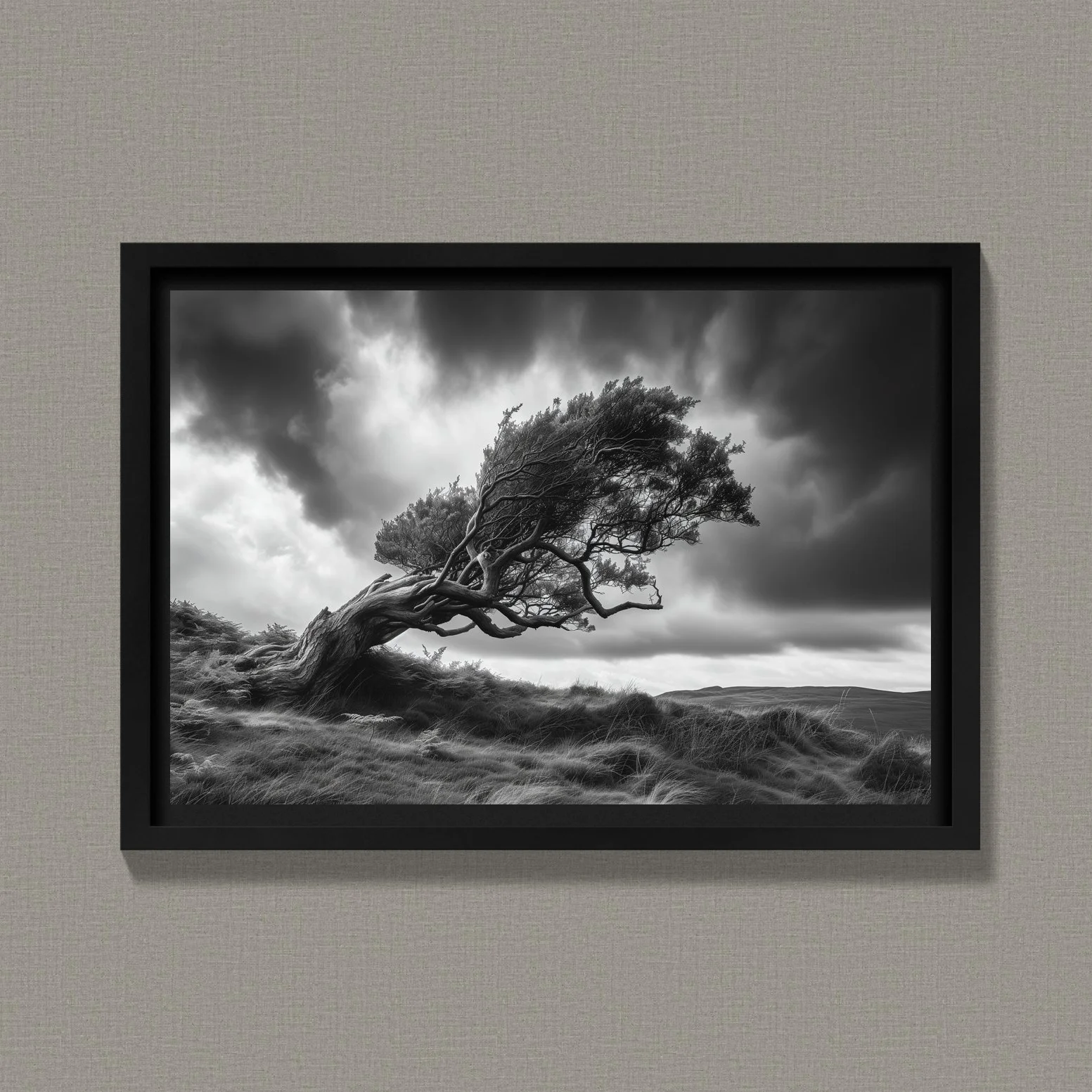 Windsept Juniper