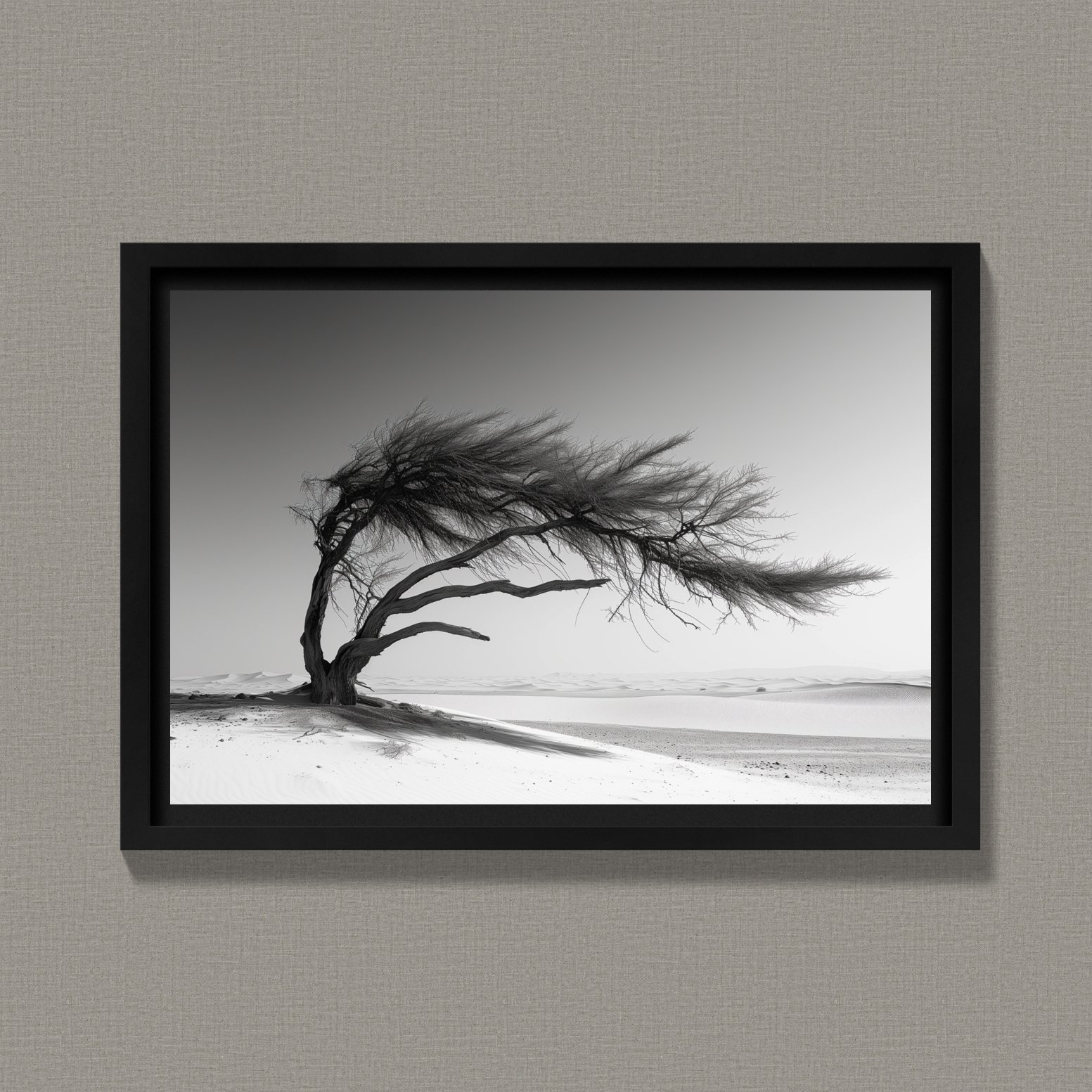 Windswept Tree