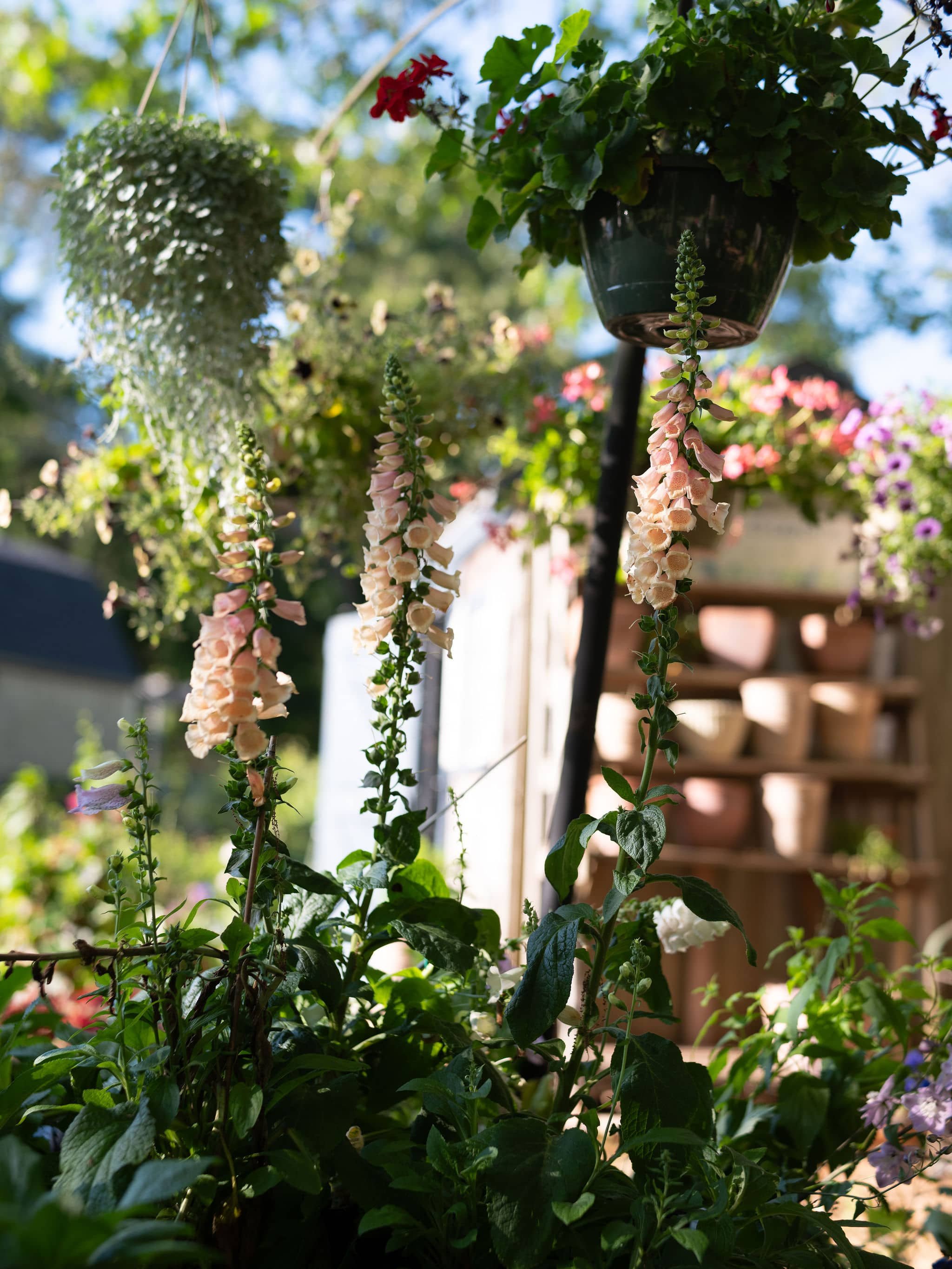 Gayle-gardens-nursery-02.jpg