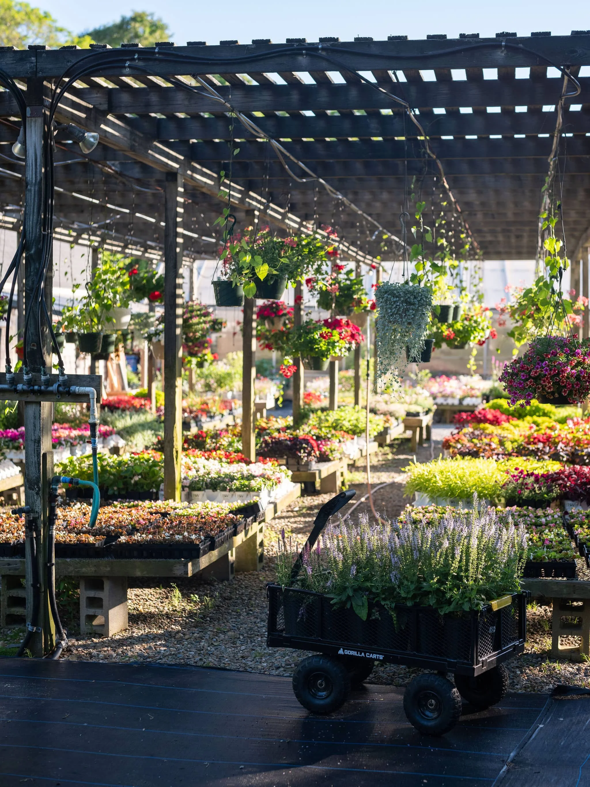 Gayle-gardens-nursery-03.jpg