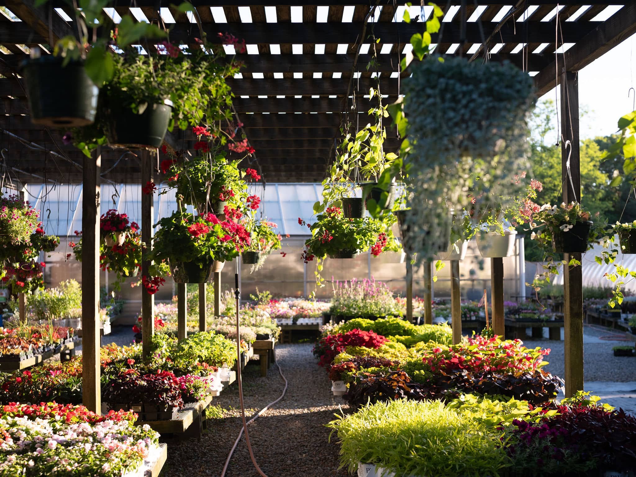 Gayle-gardens-nursery-04-3.jpg