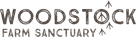 woodstock_logo (1).jpg