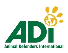 Animal Defenders Int_940x183 Banner (1).jpg
