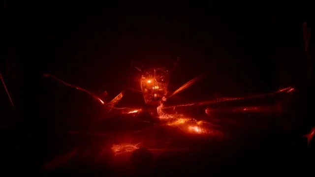 CONCEALED SHIELD by Katharine Dowson