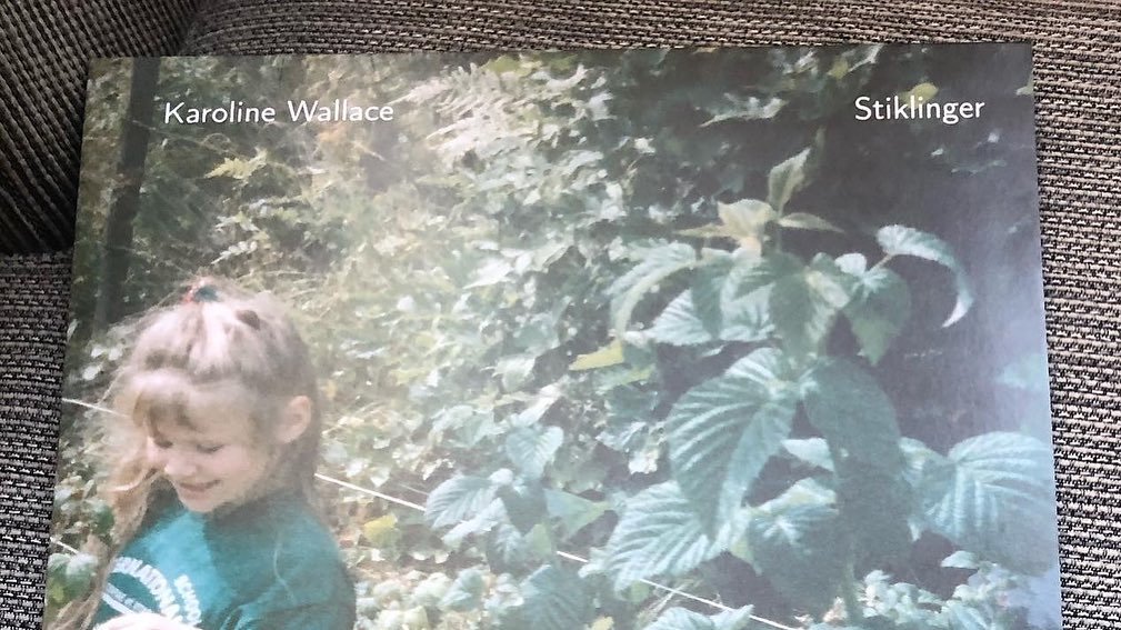 I g&aring;r var det ett &aring;r siden Stiklinger kom til verden! Sveip for film i sjuke farger og sjuke musikere som spiller musikken helt live! Takk for at dere h&oslash;rer p&aring;, love you.
@per_o_dactyl @jooonasengel @idanoerbys @thibault__gom