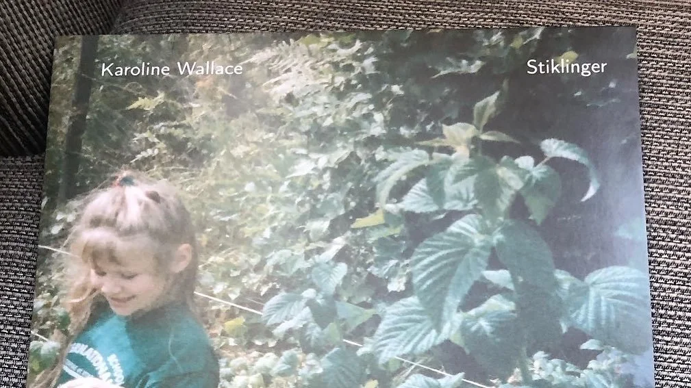 I g&aring;r var det ett &aring;r siden Stiklinger kom til verden! Sveip for film i sjuke farger og sjuke musikere som spiller musikken helt live! Takk for at dere h&oslash;rer p&aring;, love you.
@per_o_dactyl @jooonasengel @idanoerbys @thibault__gom