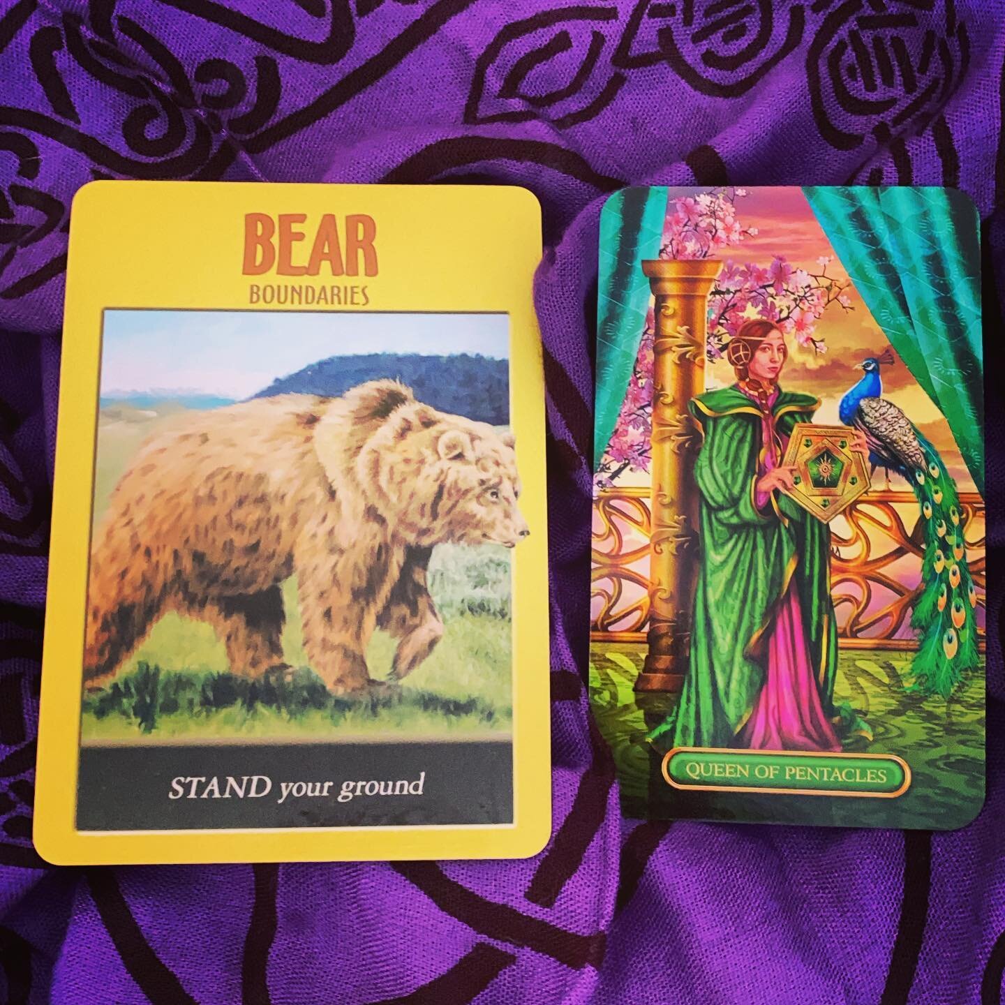 This week, the Bear tells you to stand your ground without losing your patience or your temper. The Queen of  Pentacles has practical and nurturing energies.
⠀
If you need 💩 to move this week, try to come at the problem from a different approach. 🤔