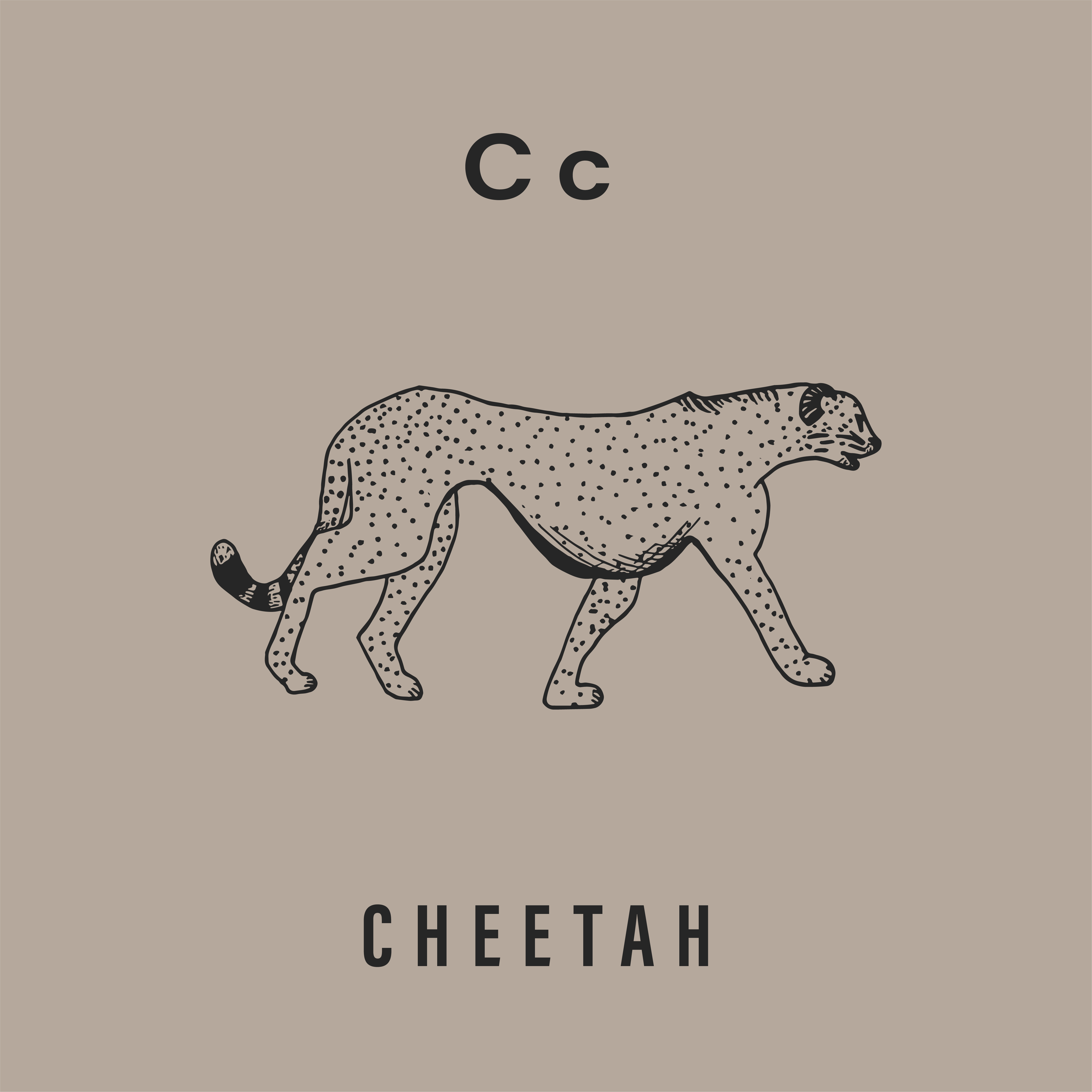 Jack's Animals 2 Color-03.png