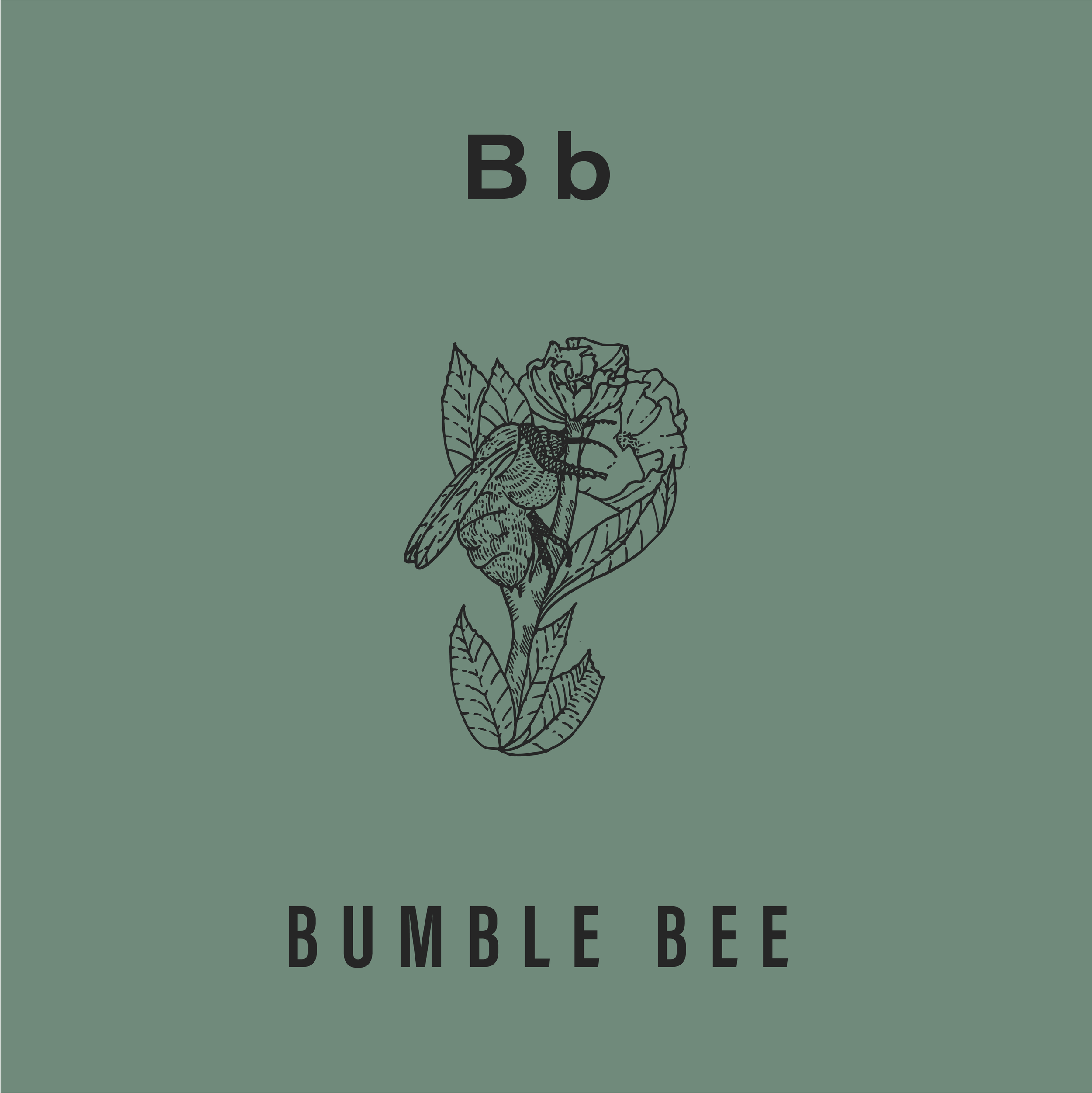 Jack's Animals 2 Color-02.png