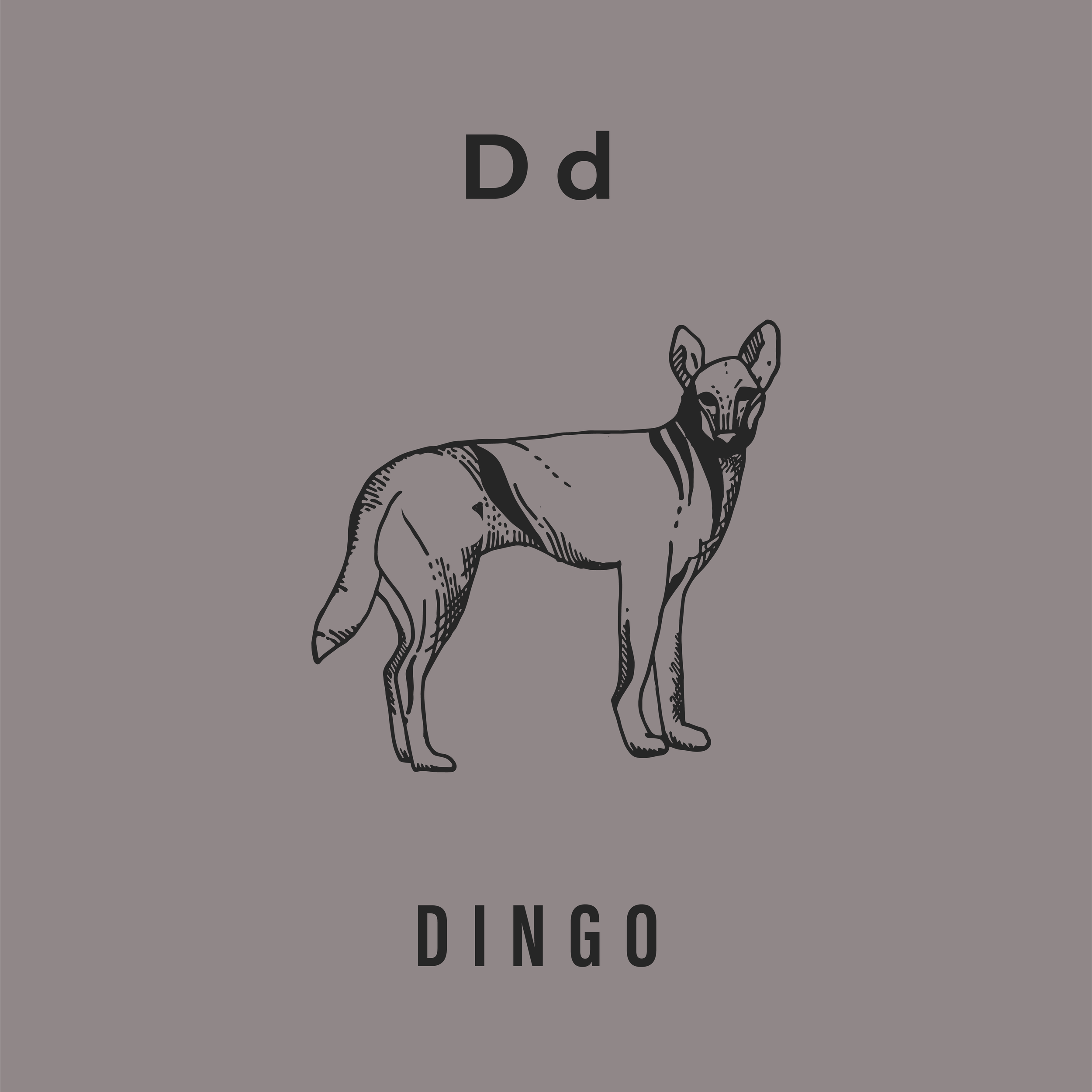 Jack's Animals 2 Color-04.png