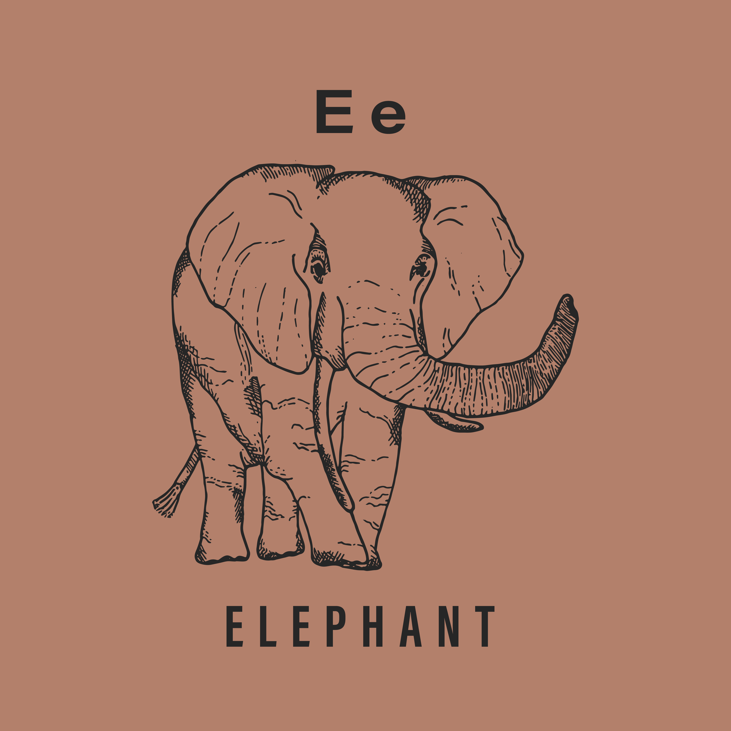 Jack's Animals 2 Color-05.png