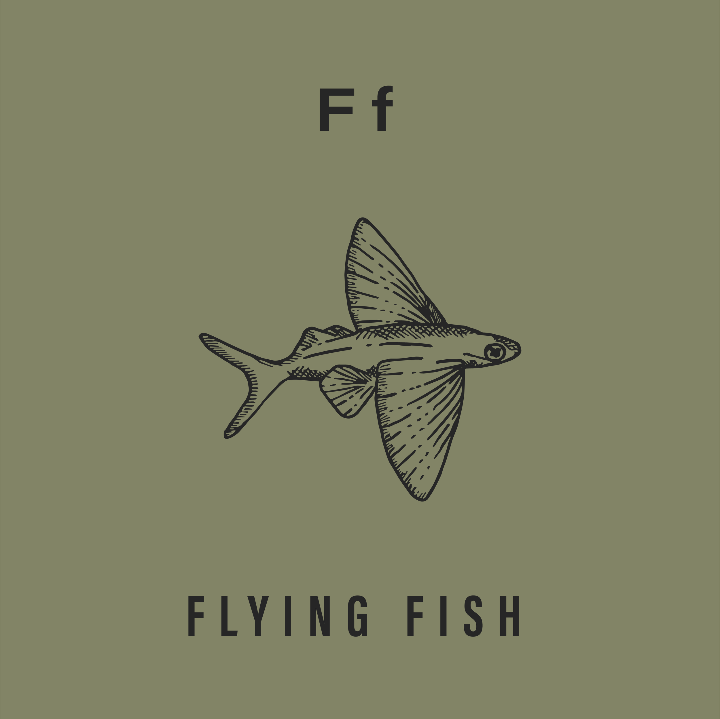 Jack's Animals 2 Color-06.png