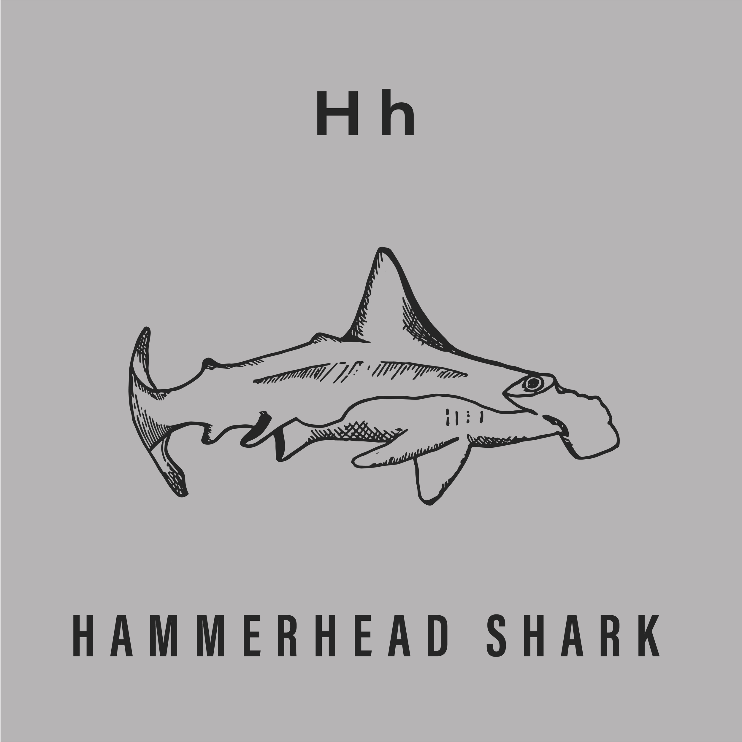 Jack's Animals 2 Color-08.png