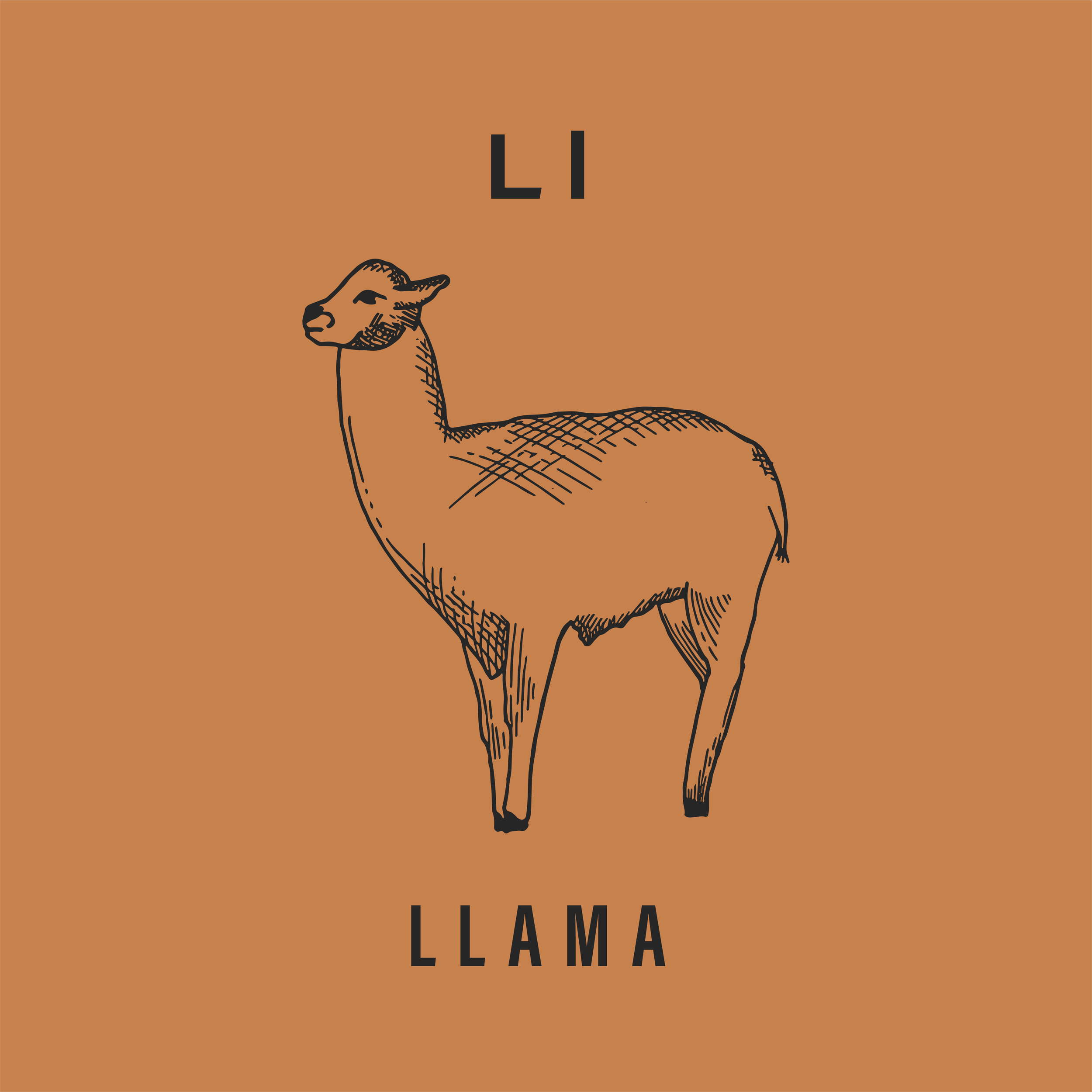 Jack's Animals 2 Color-12.png